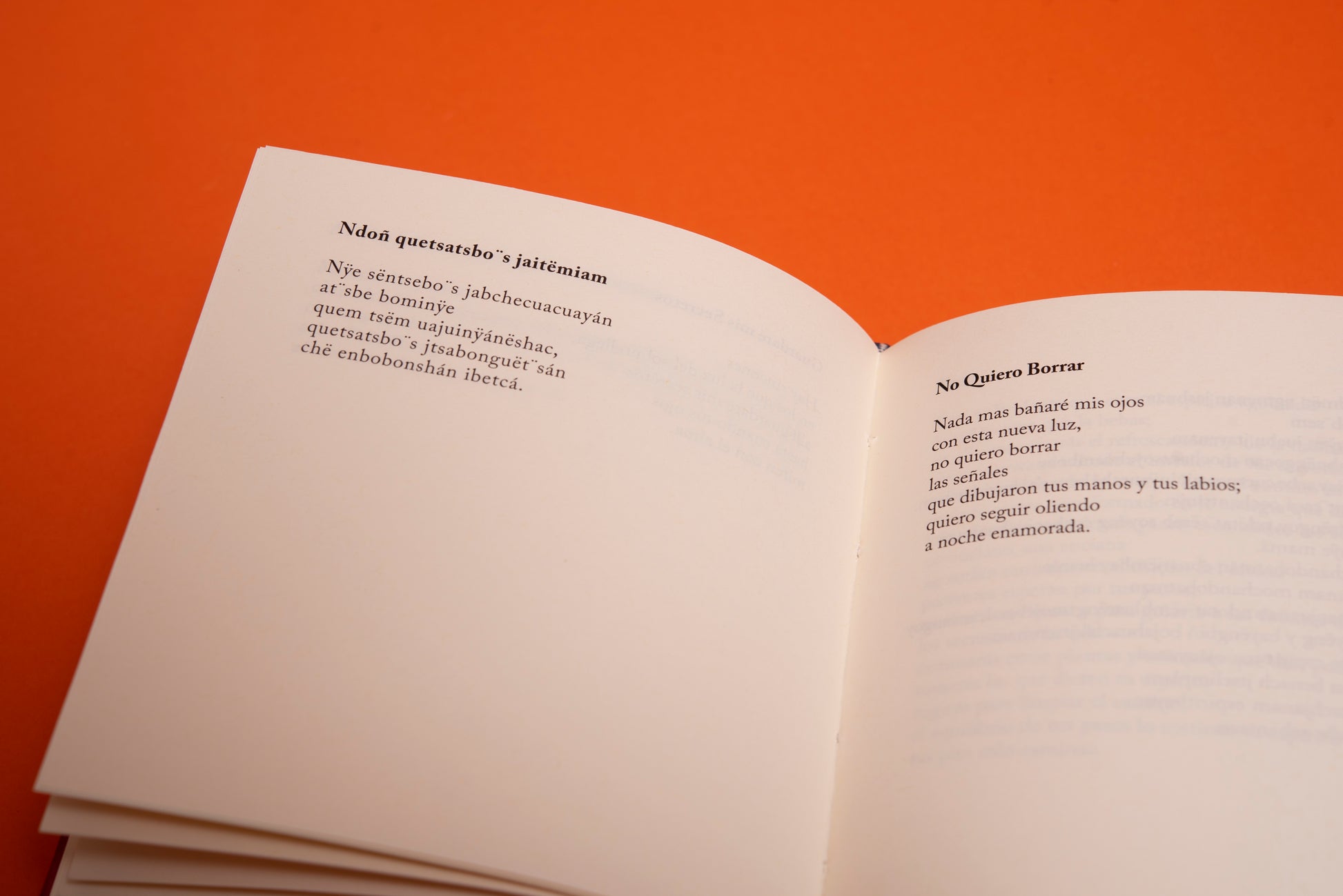 Danzantes del viento - Hugo Jamioy - Imagen 14