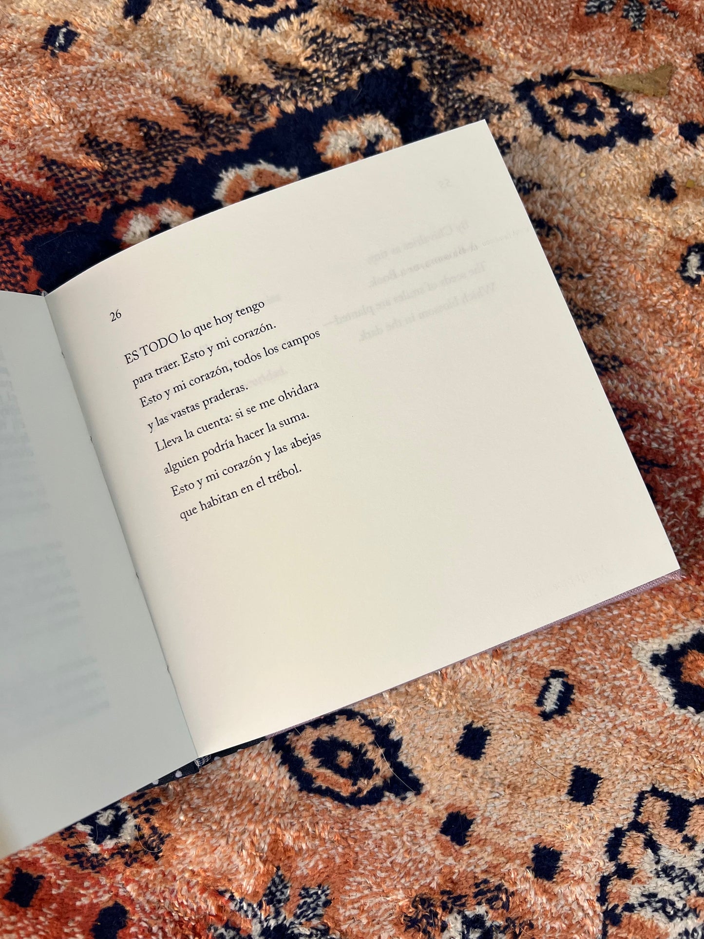 Dickinson - POEMAS - Imagen 3