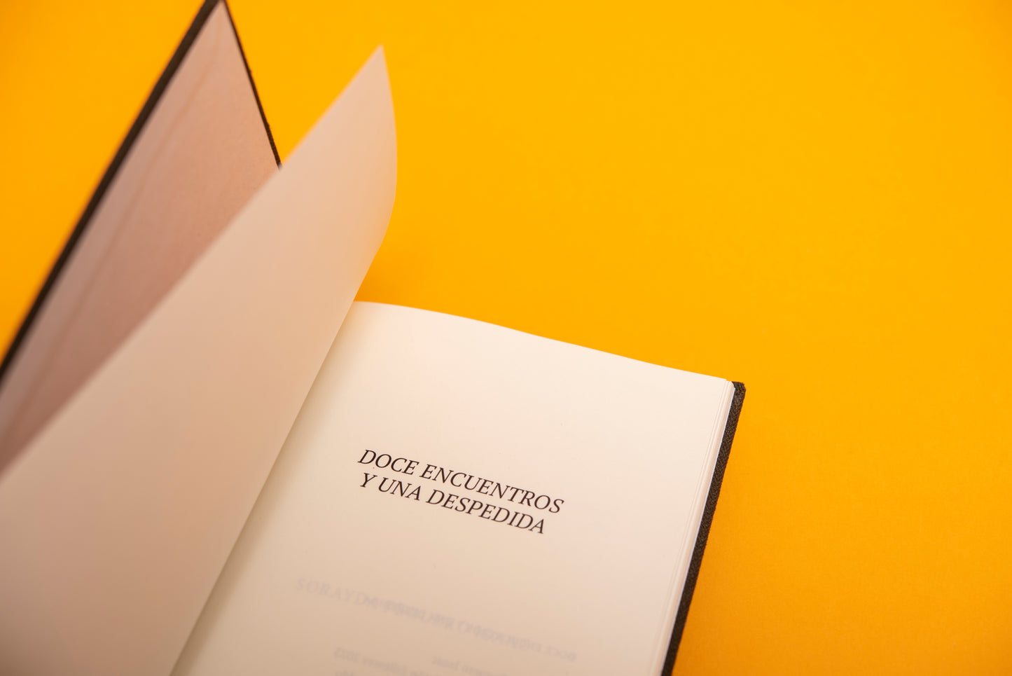 Doce encuentros y una despedida - Sorayda Peguero Isaac - Imagen 2