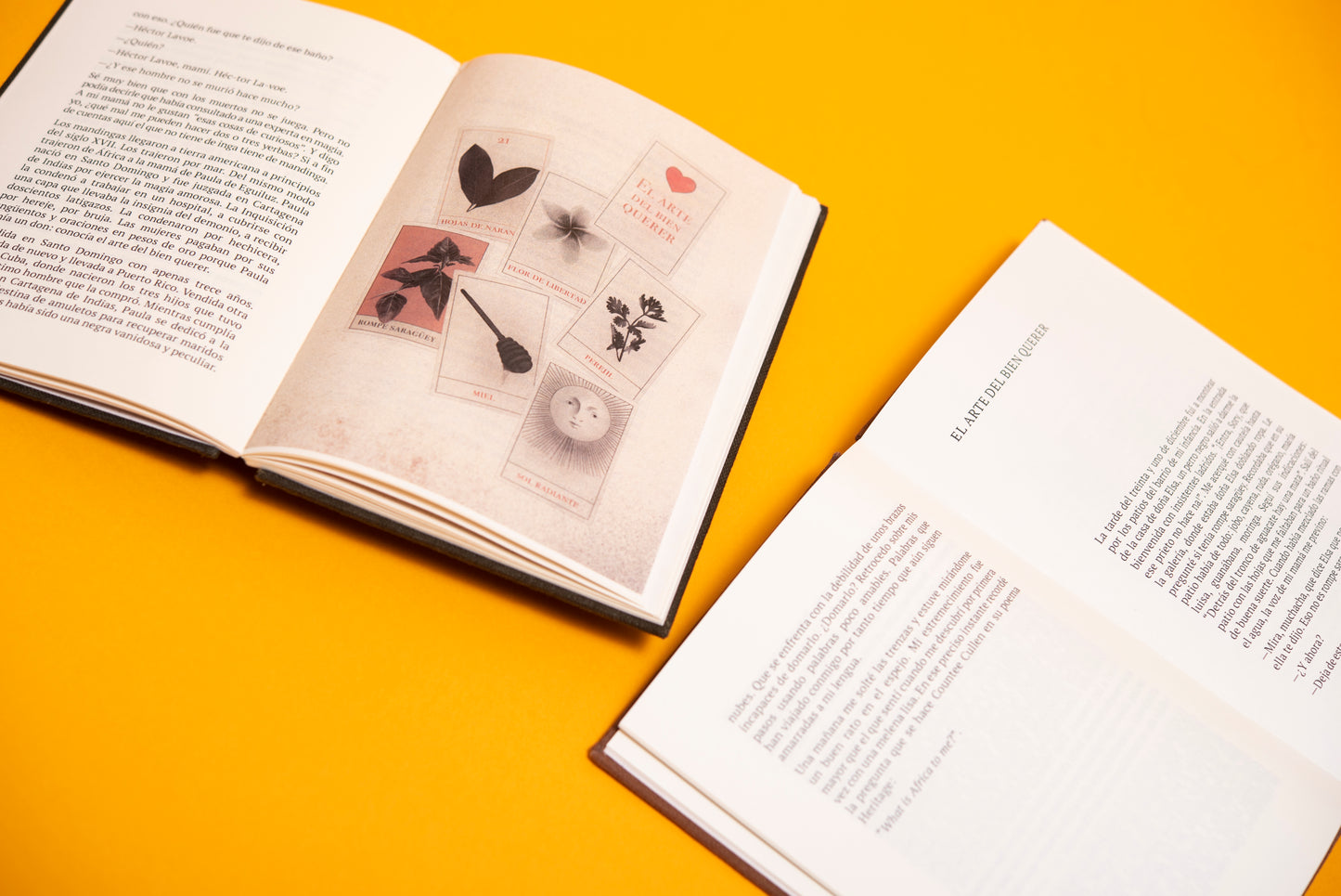 Doce encuentros y una despedida - Sorayda Peguero Isaac - Imagen 4