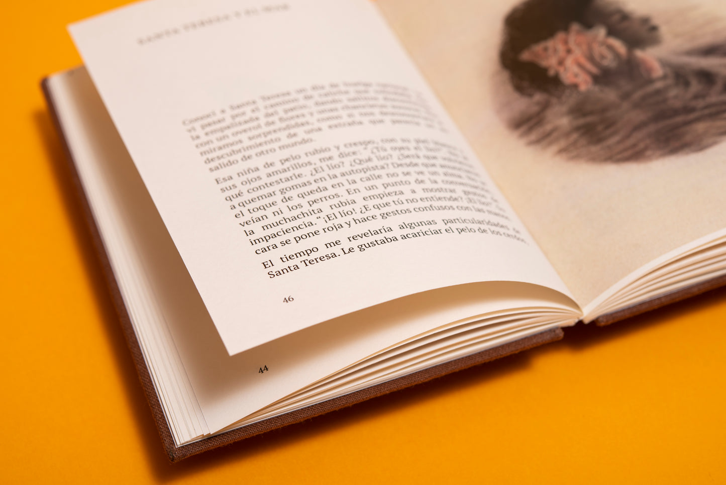 Doce encuentros y una despedida - Sorayda Peguero Isaac - Imagen 5