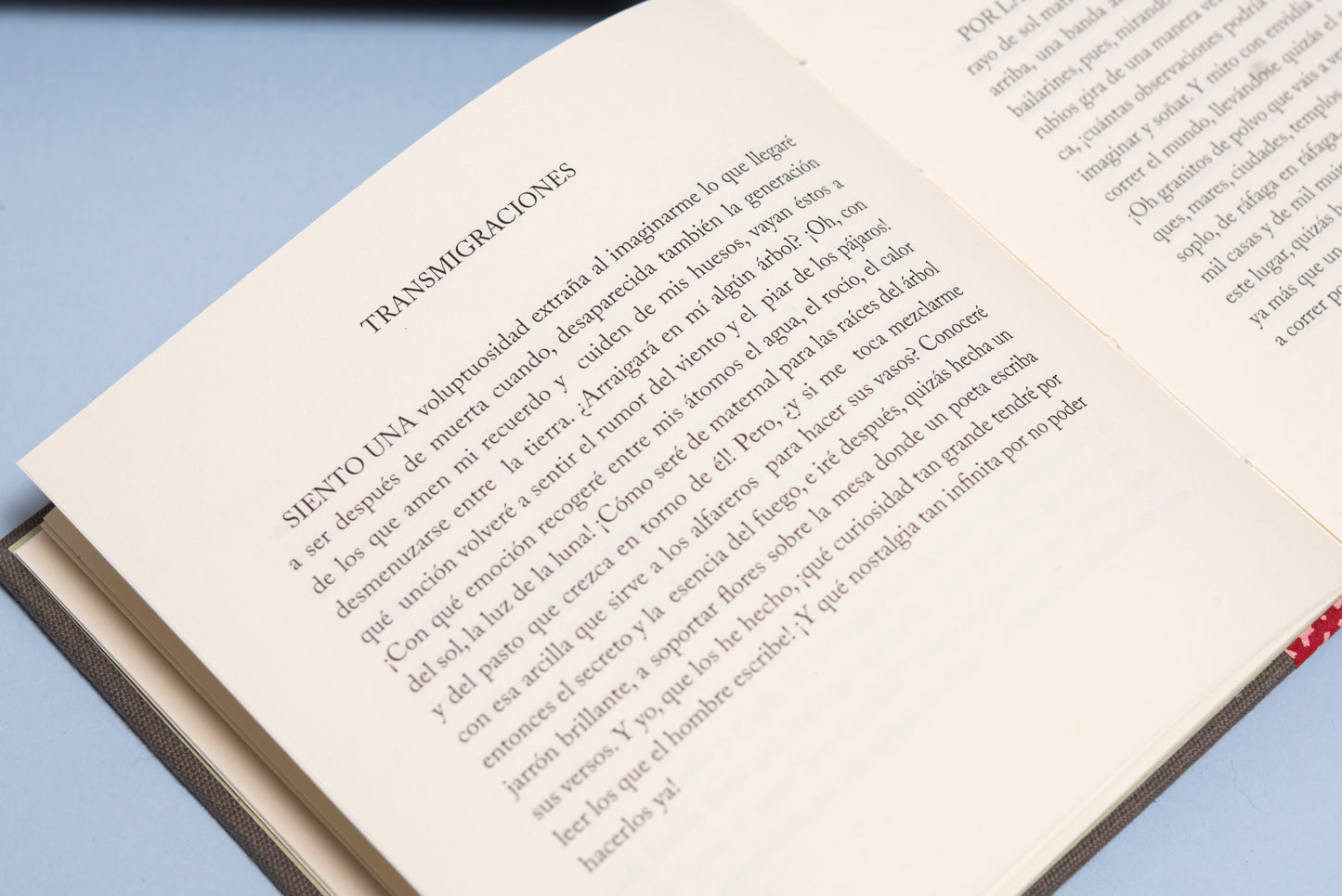 El Cántaro Fresco - Juana de Ibarborou - Imagen 4