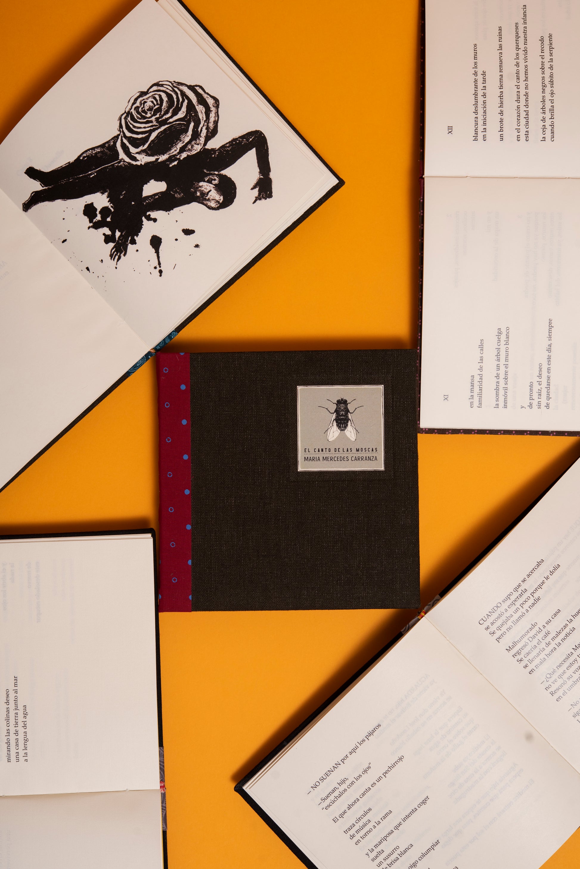 El canto de las moscas - María Mercedes Carranza - Imagen 3