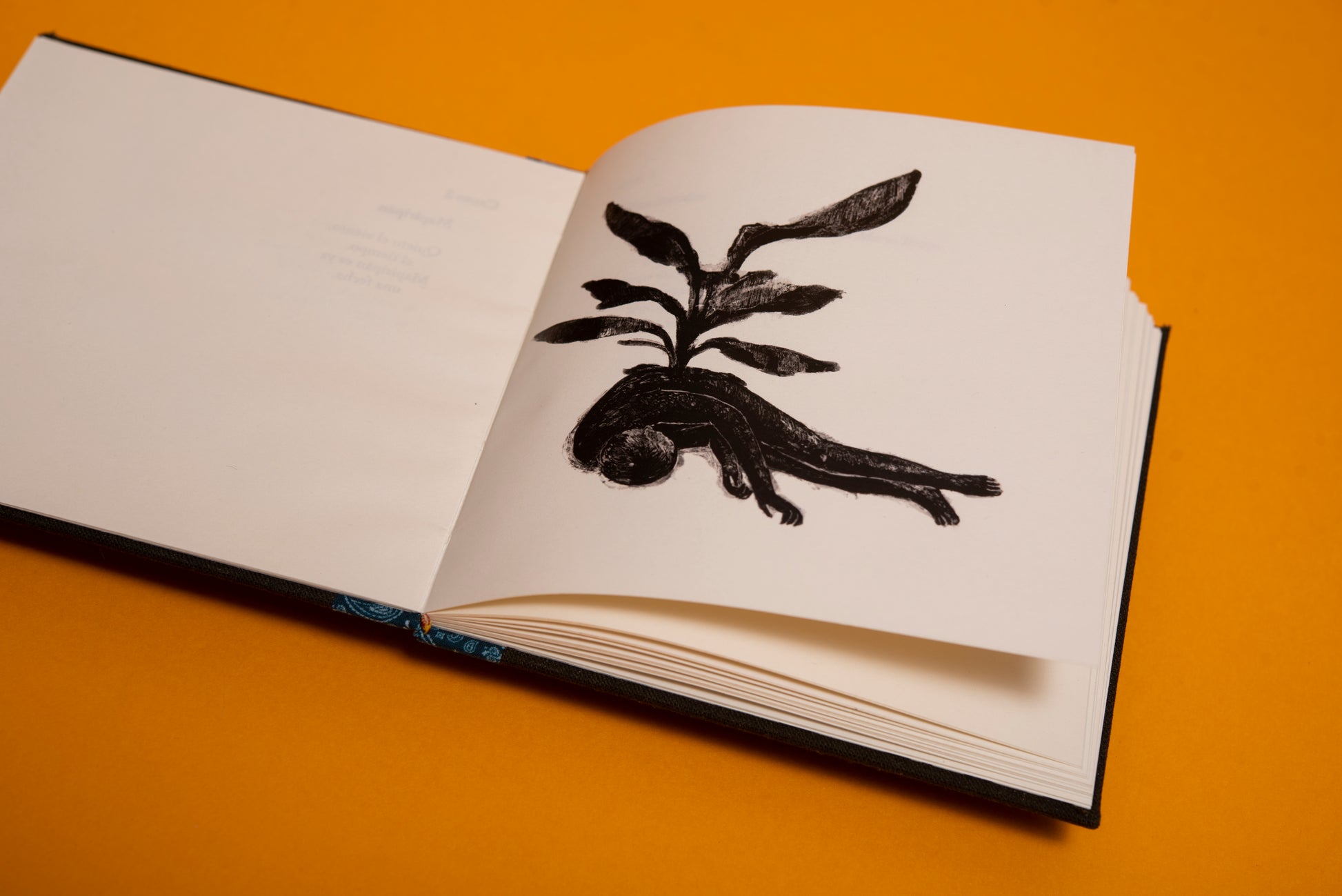 El canto de las moscas - María Mercedes Carranza - Imagen 5