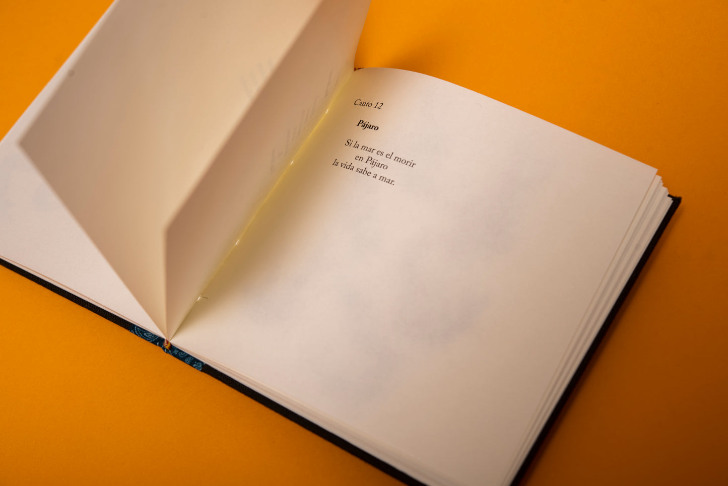 El canto de las moscas - María Mercedes Carranza - Imagen 6