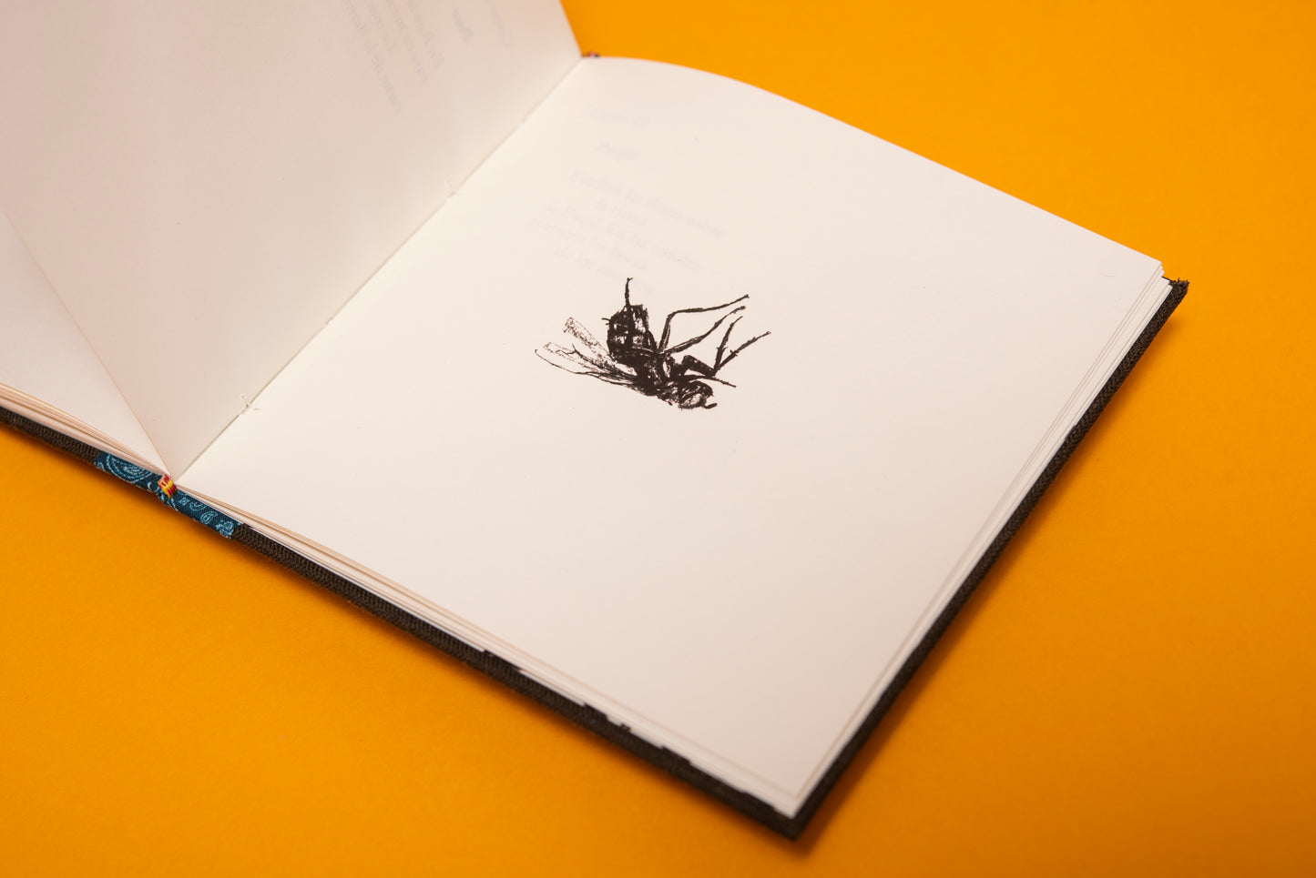 El canto de las moscas - María Mercedes Carranza - Imagen 9