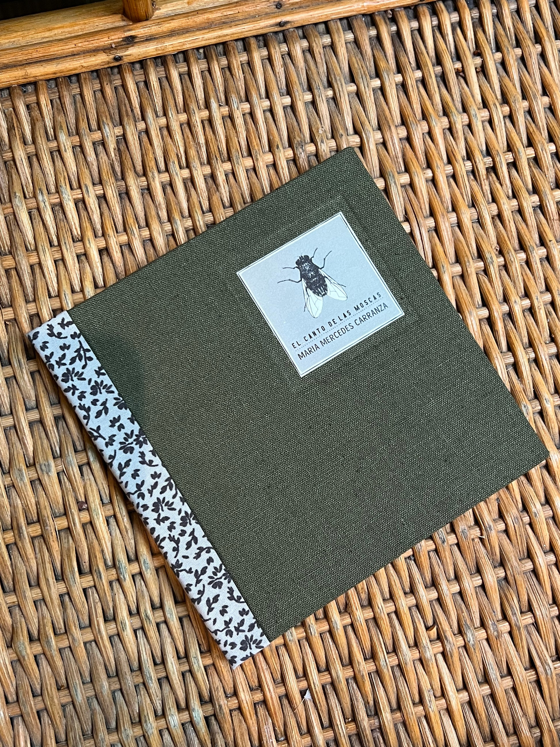 El canto de las moscas - María Mercedes Carranza - Imagen 10