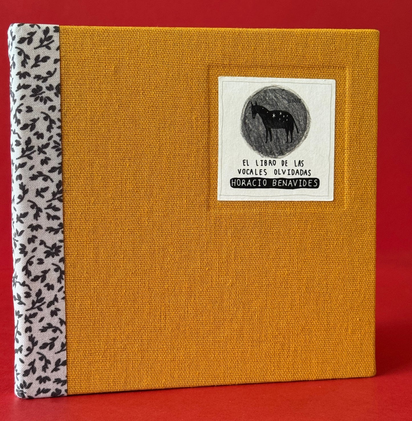 El libro de las vocales olvidadas - Horacio Benavides - Imagen 1