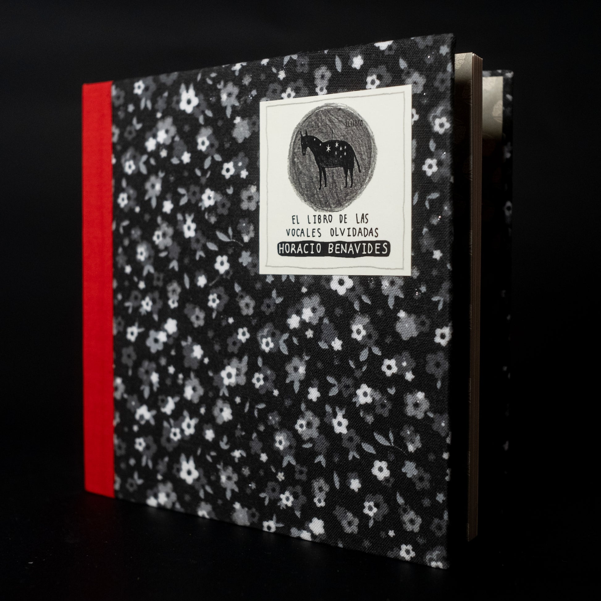 El libro de las vocales olvidadas - Horacio Benavides - Imagen 2