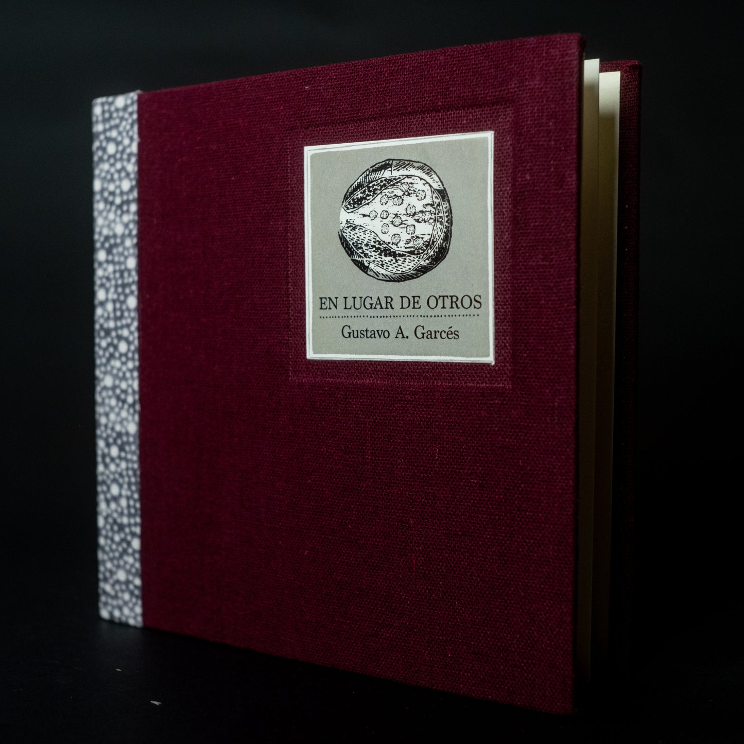 En lugar de otros - Gustavo Adolfo Garcés - Imagen 2
