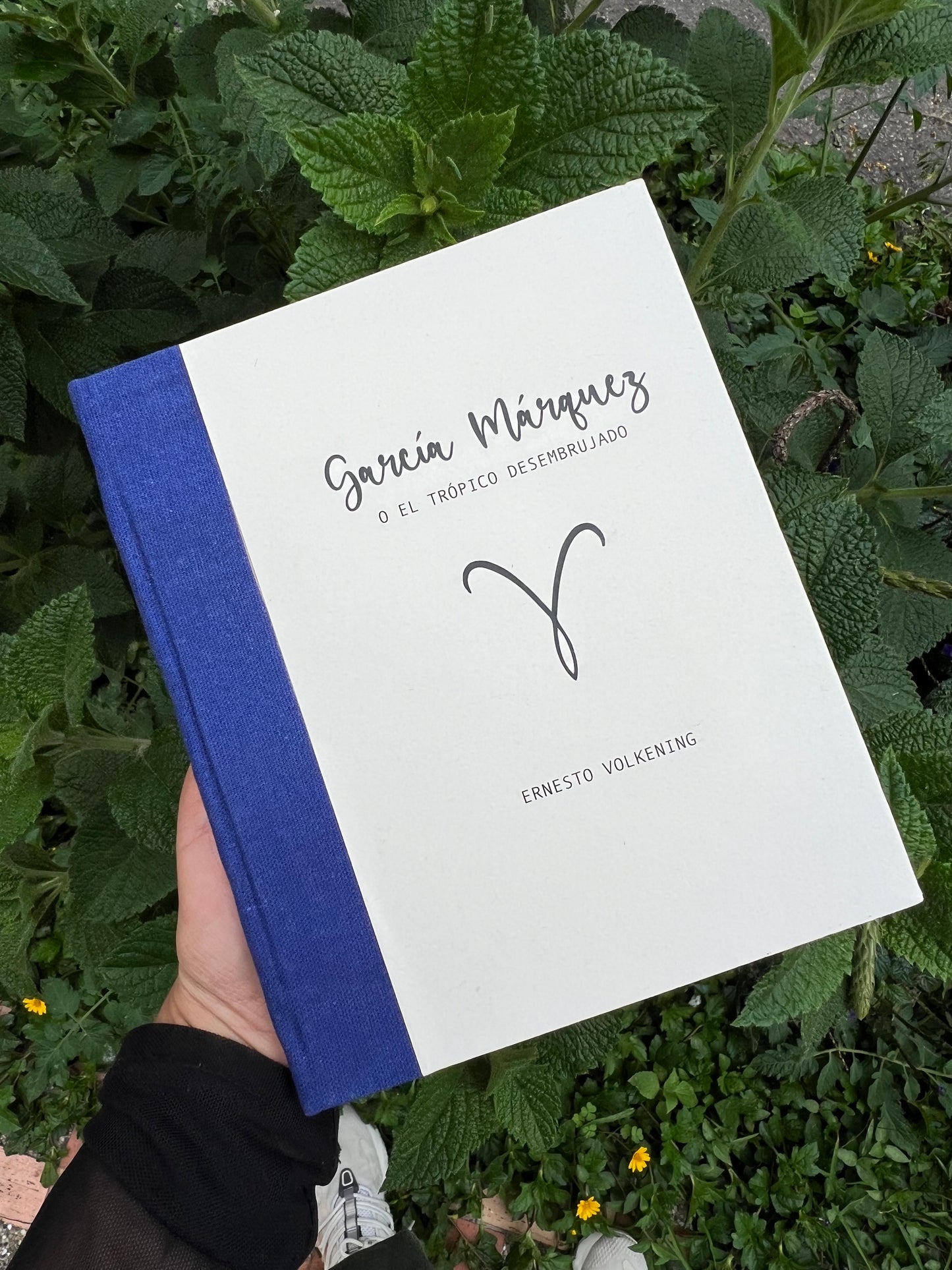 García Márquez o El Trópico Desembrujado - Ernesto Volkening - Imagen 1