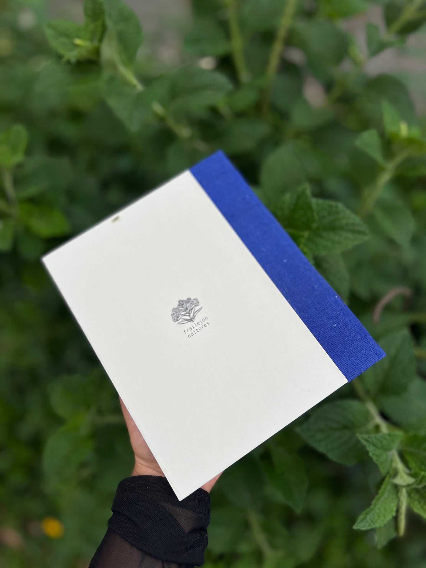 García Márquez o El Trópico Desembrujado - Ernesto Volkening - Imagen 3