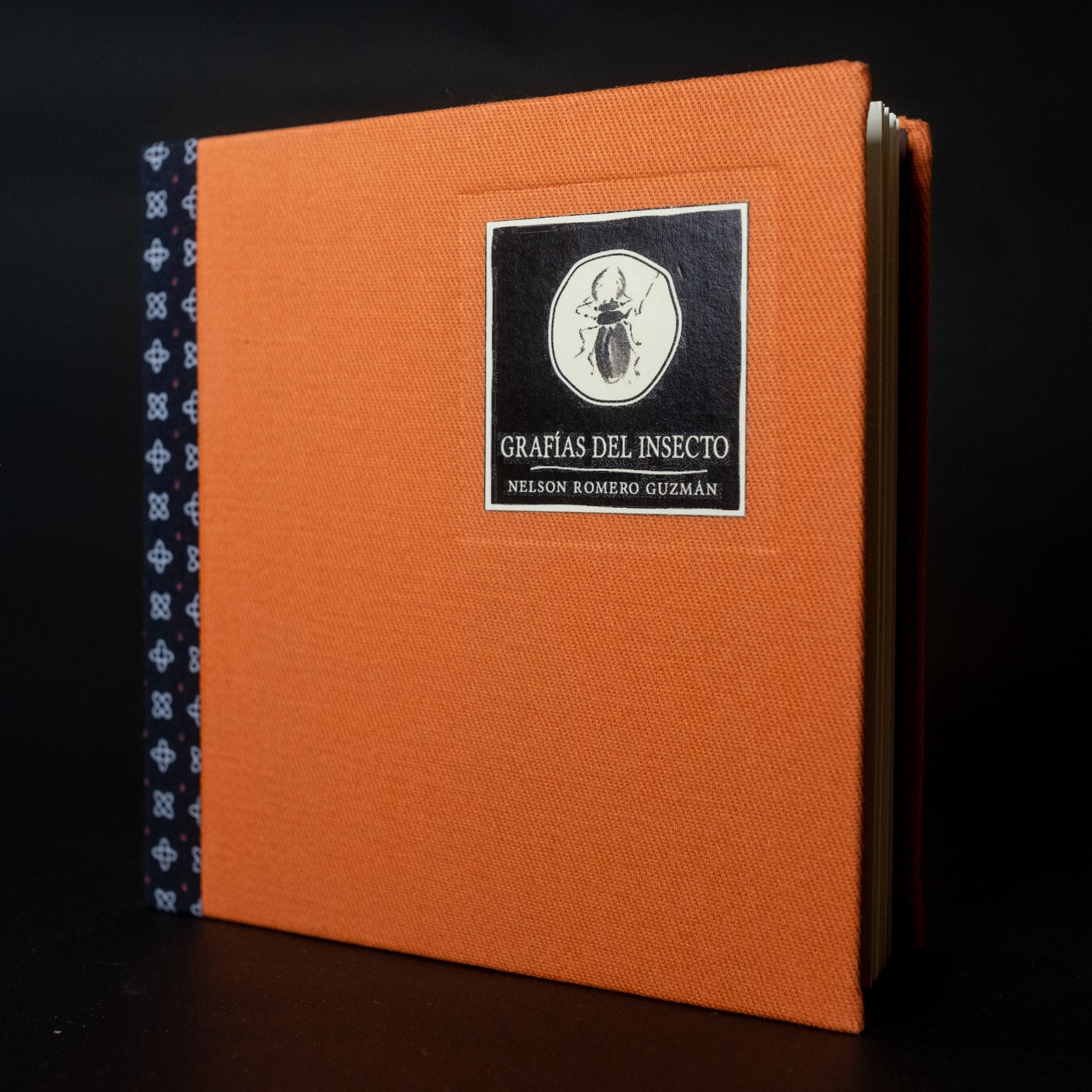 Grafías del insecto - Nelson Romero - Imagen 2