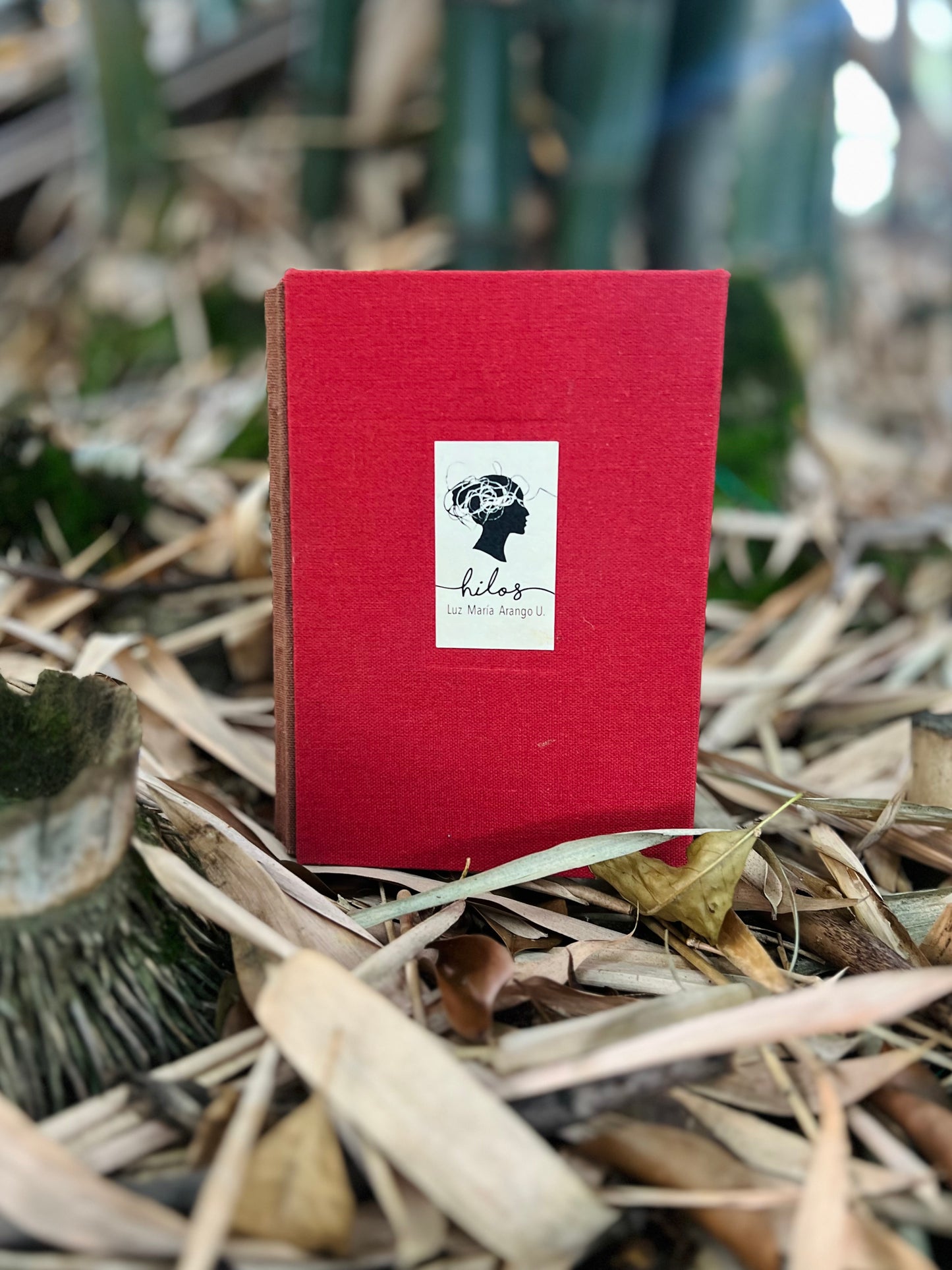 Hilos - Luz María Arango U - Imagen 6