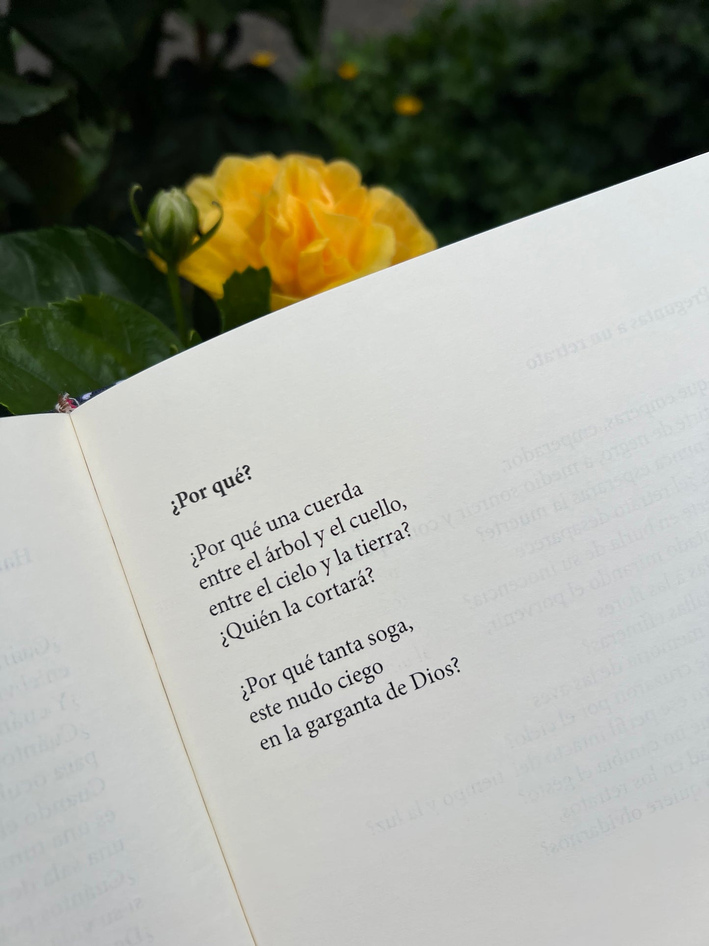 La quinta del sordo - Nelson Romero Guzmán - Imagen 4