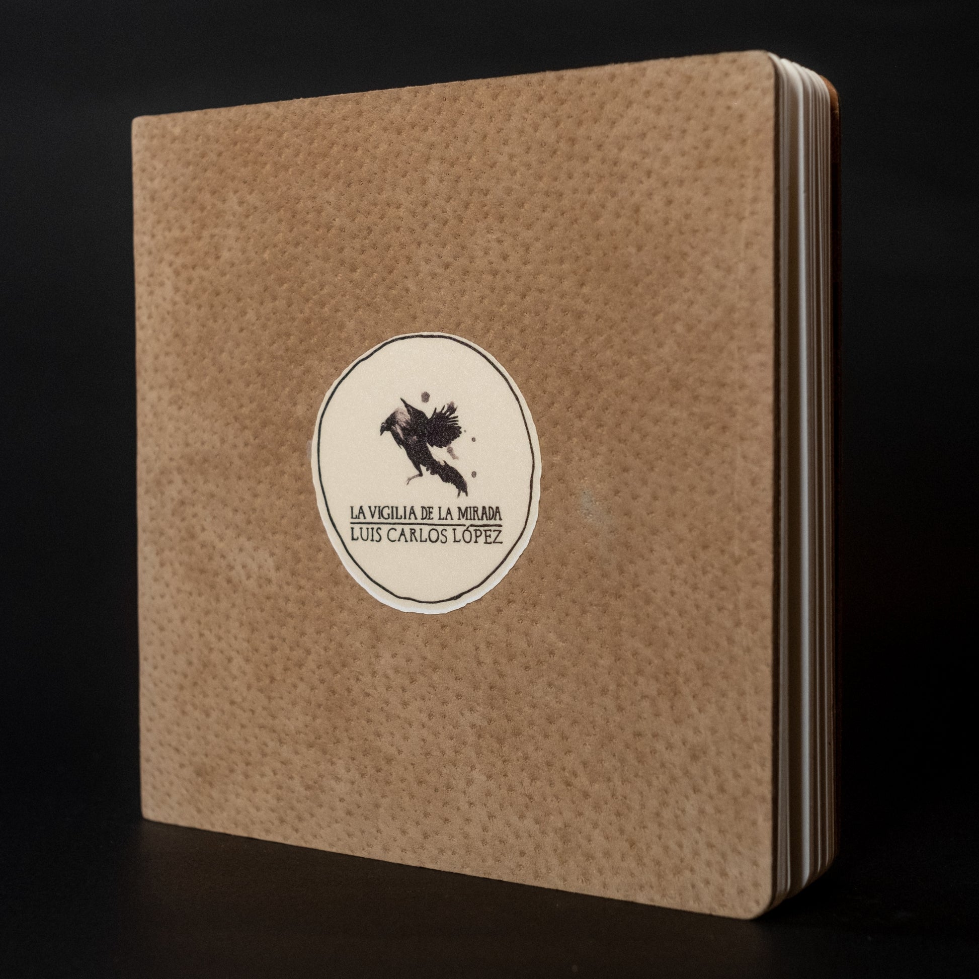 La vigilia de la mirada - Luis Carlos López - Imagen 2