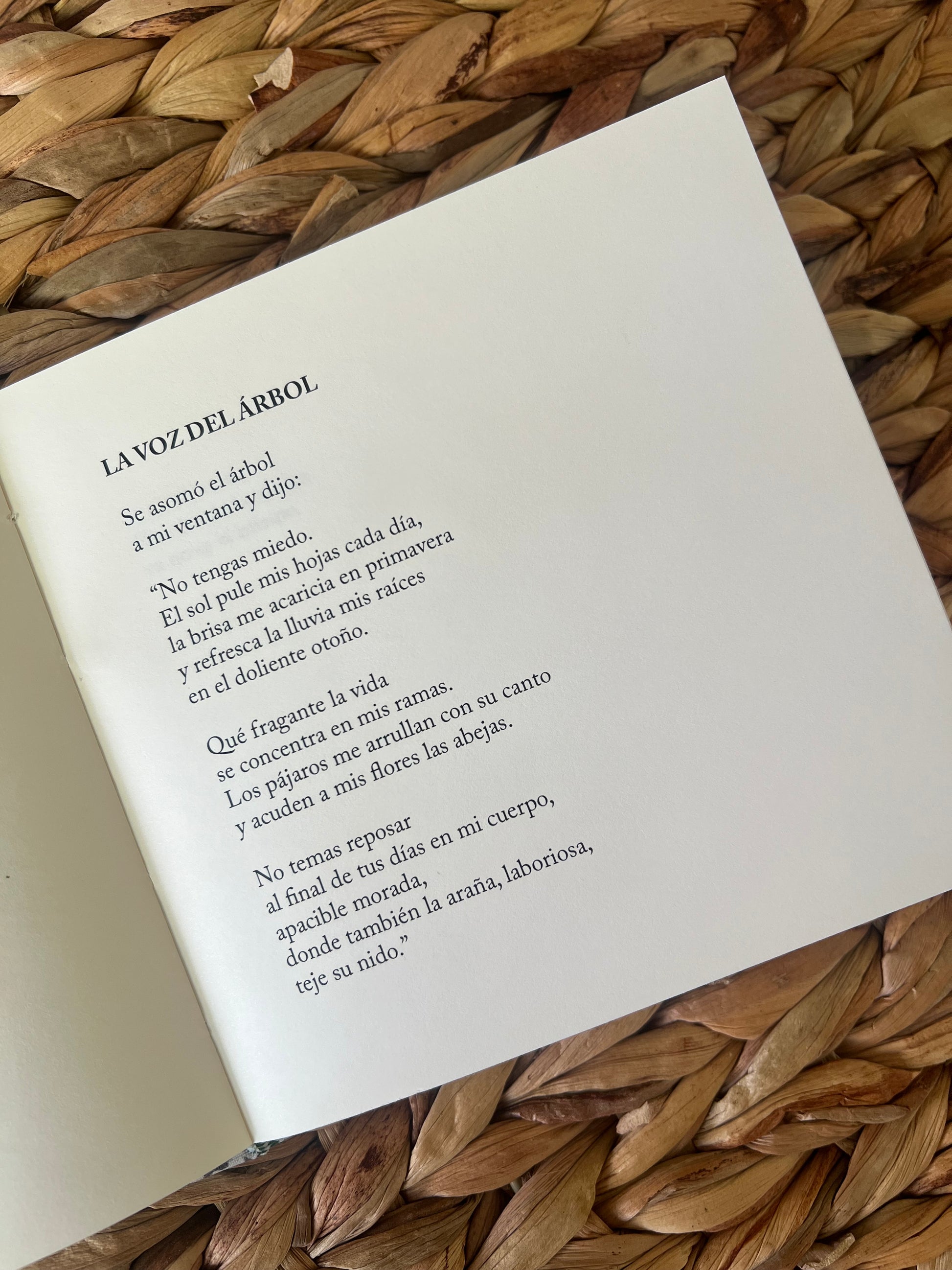 La voz del árbol - Susana Benet - Imagen 4