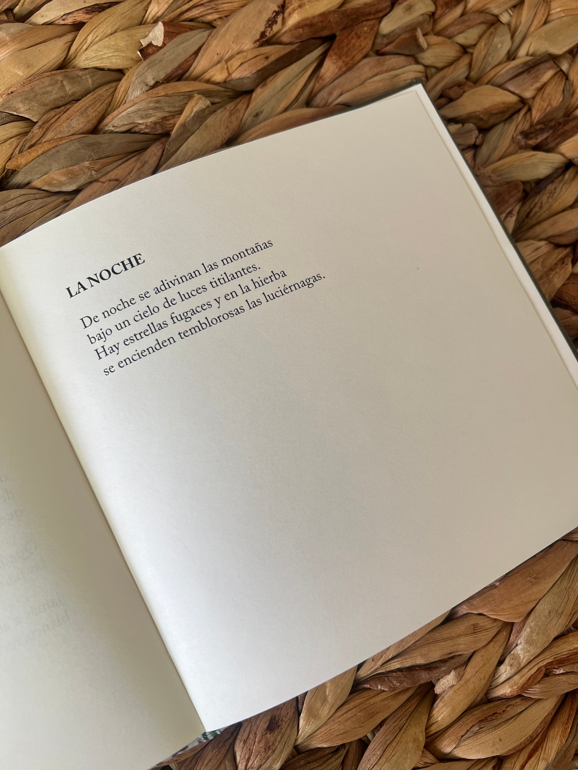 La voz del árbol - Susana Benet - Imagen 5