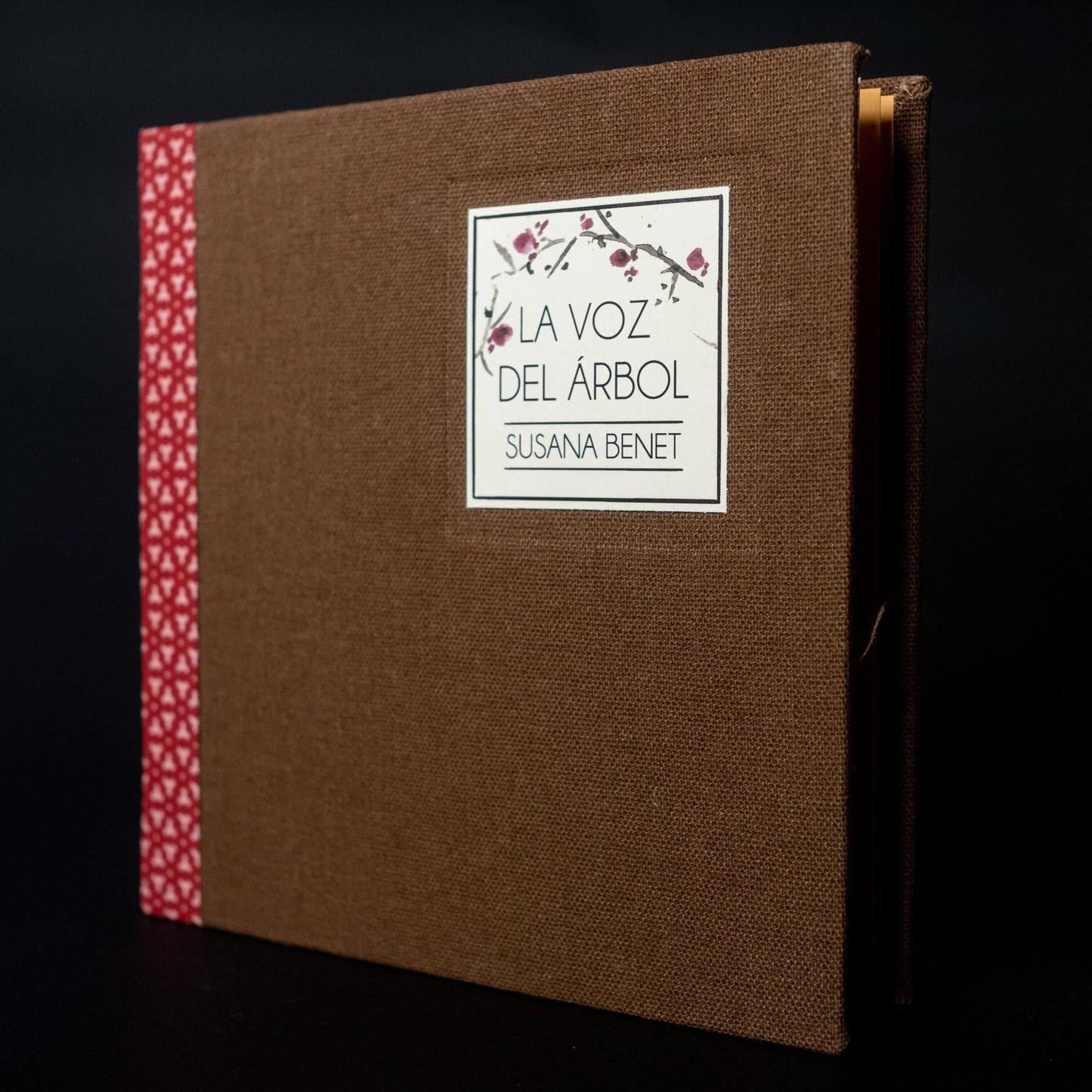 La voz del árbol - Susana Benet - Imagen 6