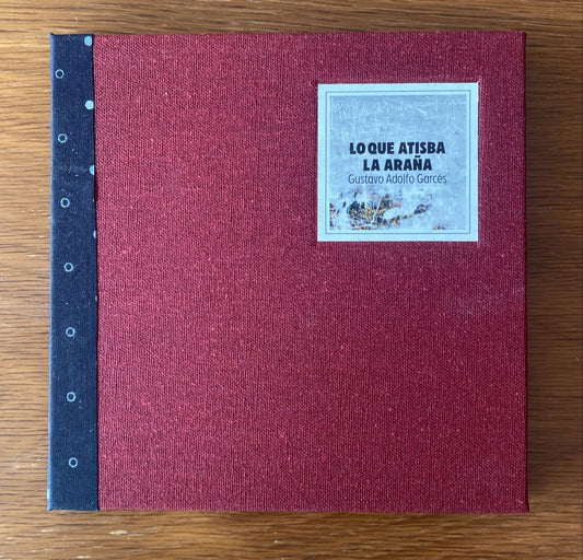 Lo que atisba la araña - Gustavo Adolfo Garcés - Imagen 1