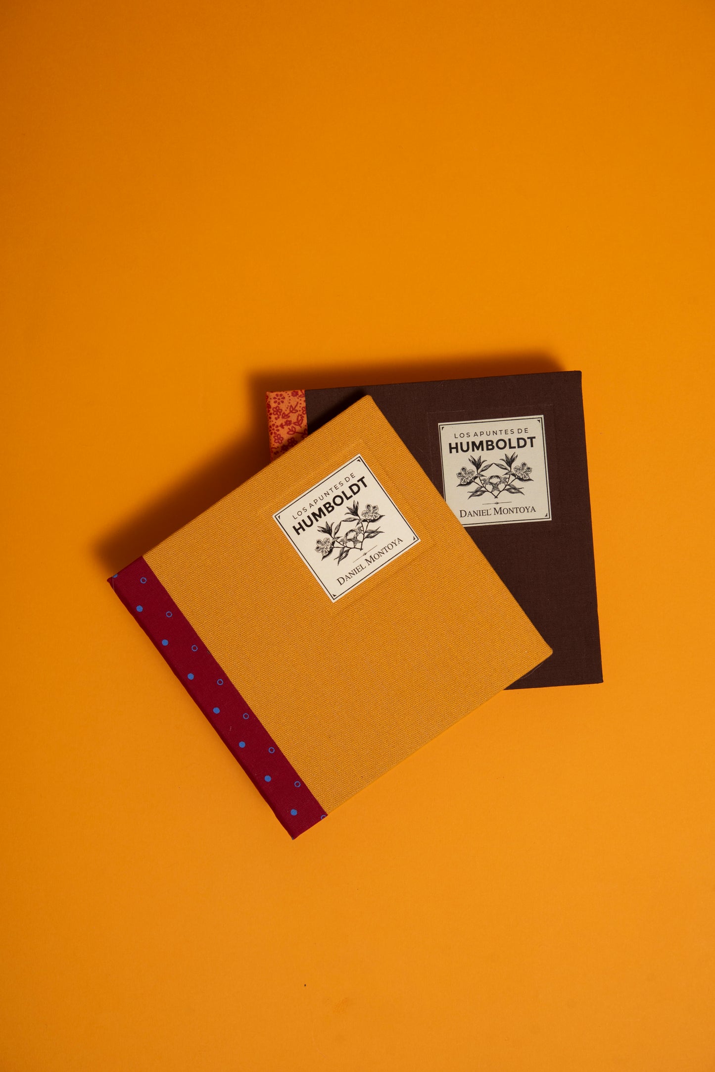 Los apuntes de Humboldt - Daniel Montoya - Imagen 3