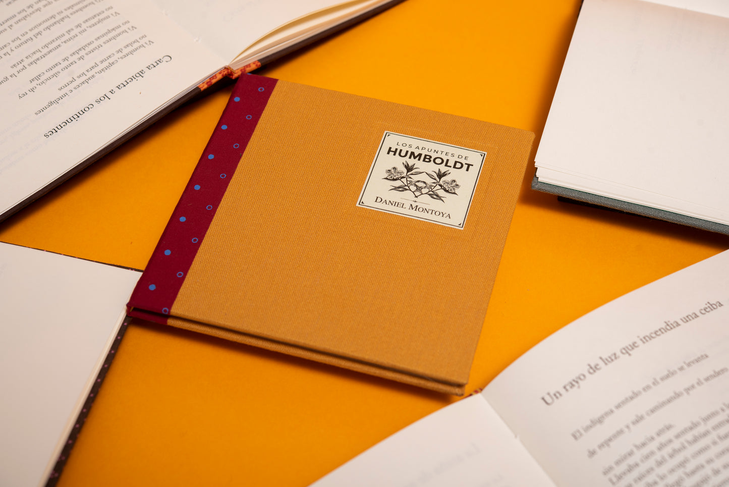Los apuntes de Humboldt - Daniel Montoya - Imagen 4