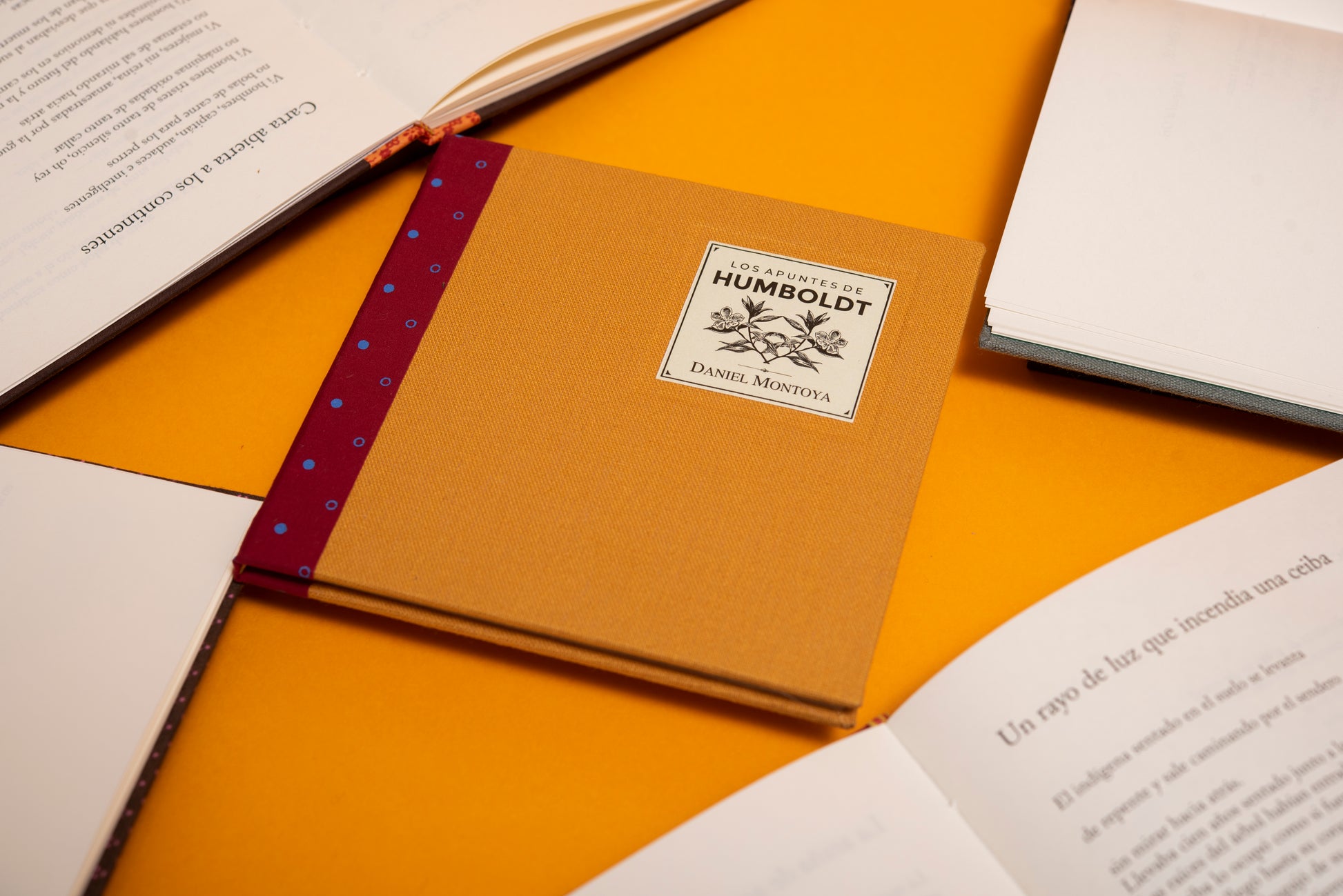 Los apuntes de Humboldt - Daniel Montoya - Imagen 4