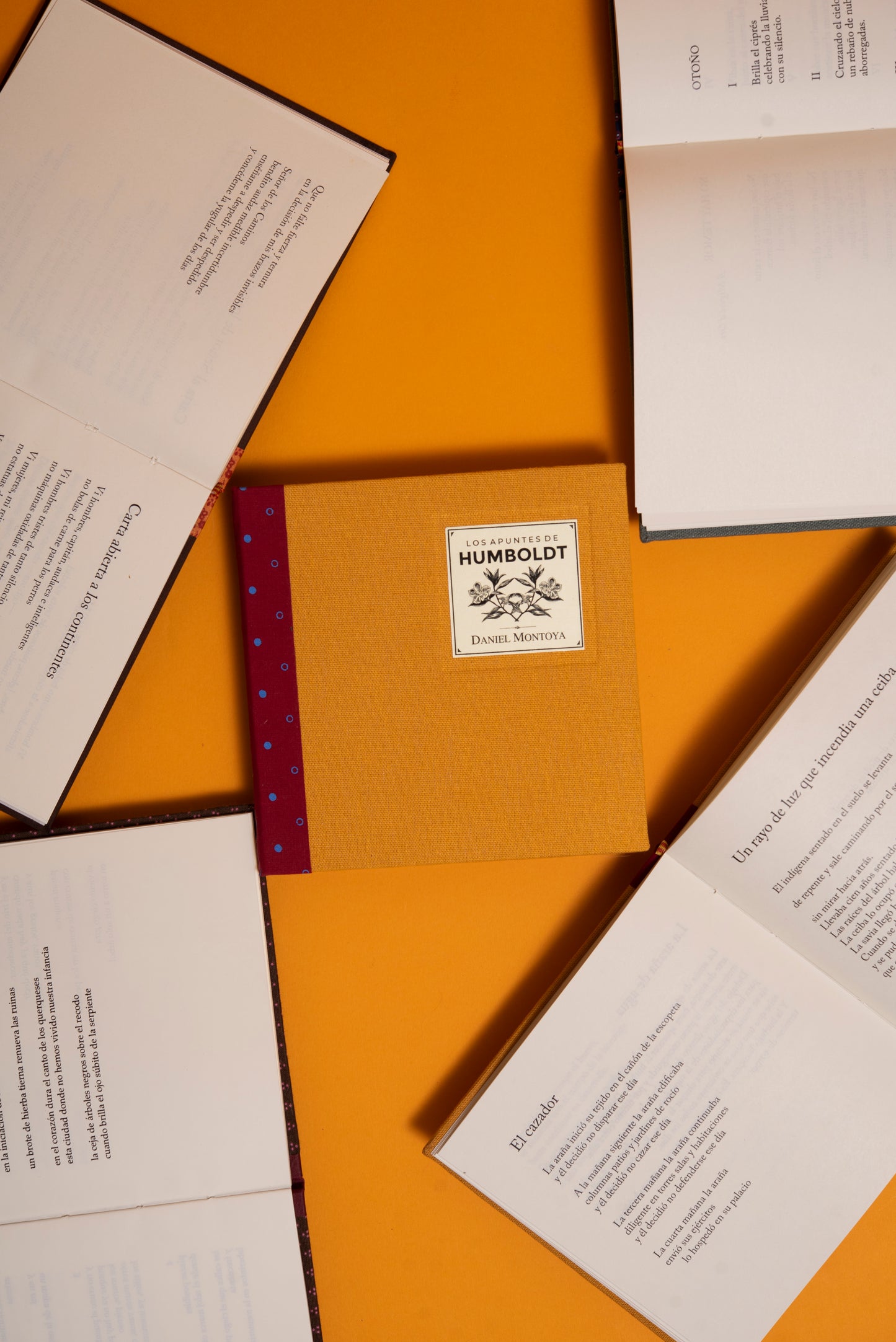 Los apuntes de Humboldt - Daniel Montoya - Imagen 5