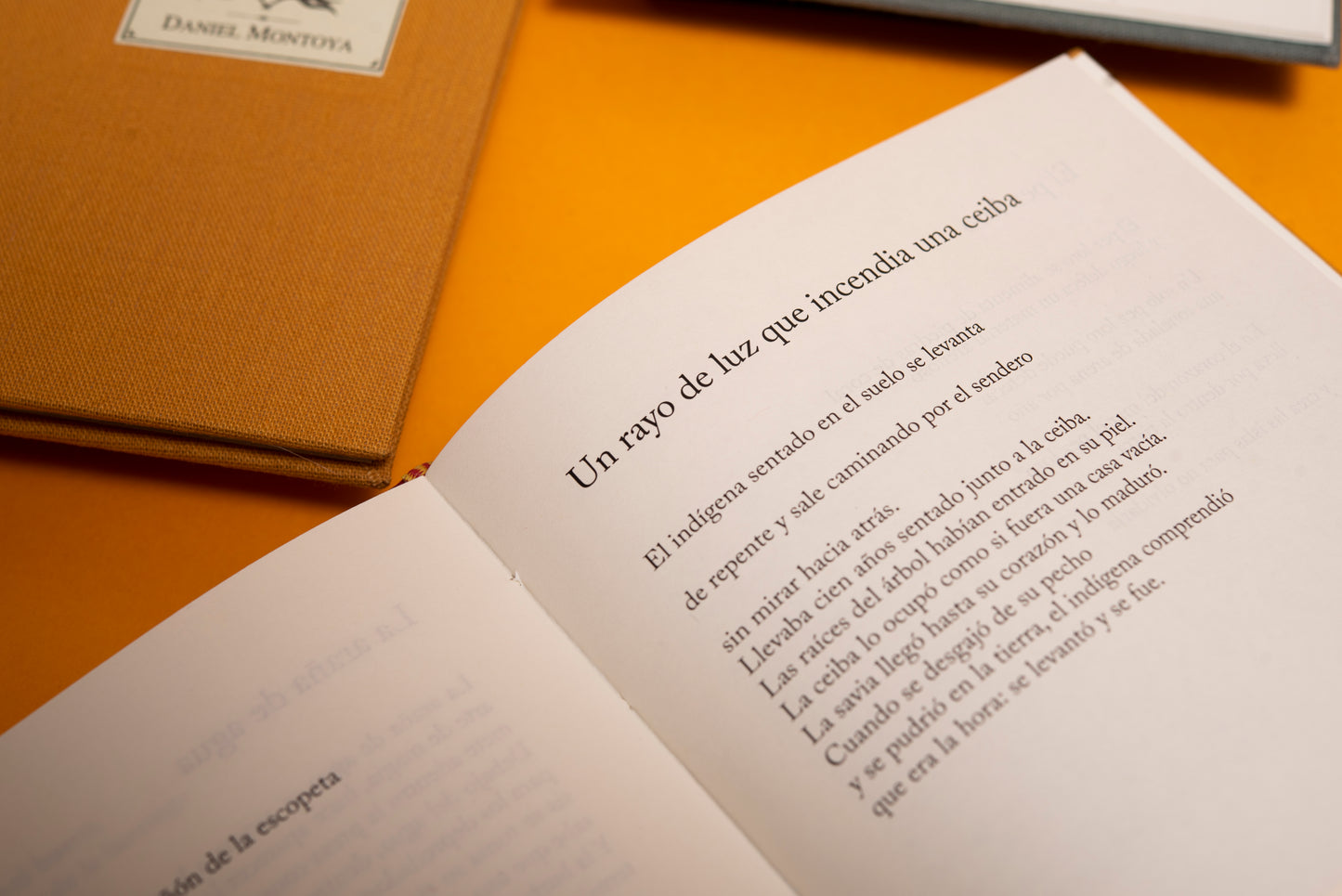 Los apuntes de Humboldt - Daniel Montoya - Imagen 6