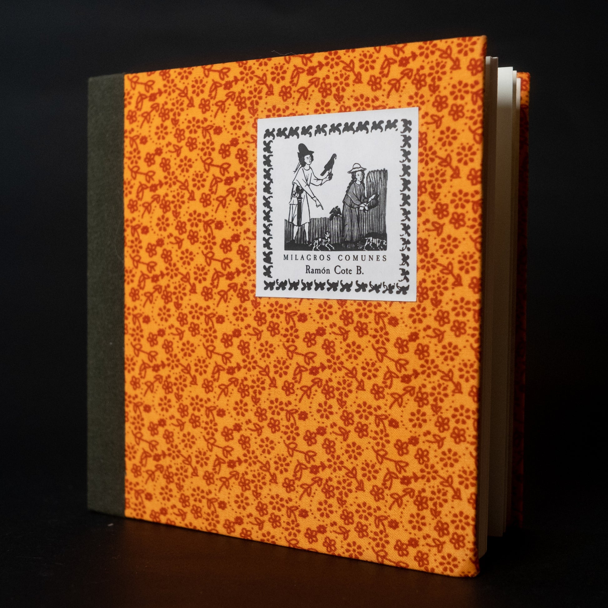 Milagros comunes - Ramón Cote Baraibar - Imagen 2