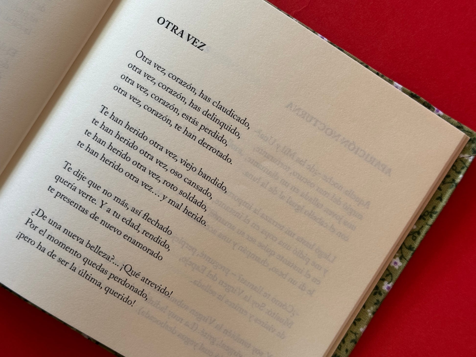 Modestia Aparte - Ciro Mendía - Imagen 2