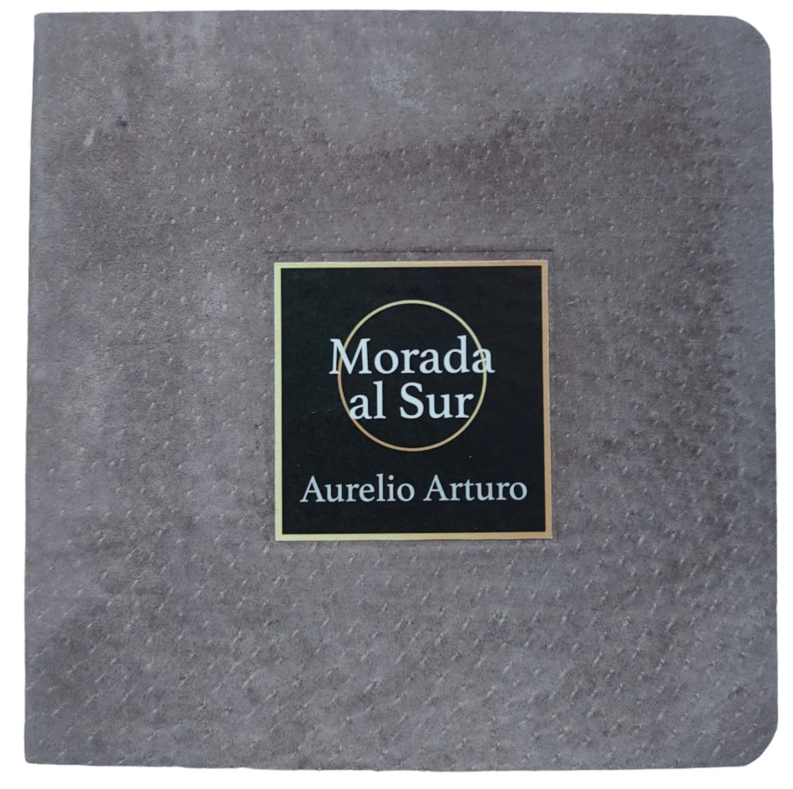 Morada al sur - Aurelio Arturo - Imagen 5