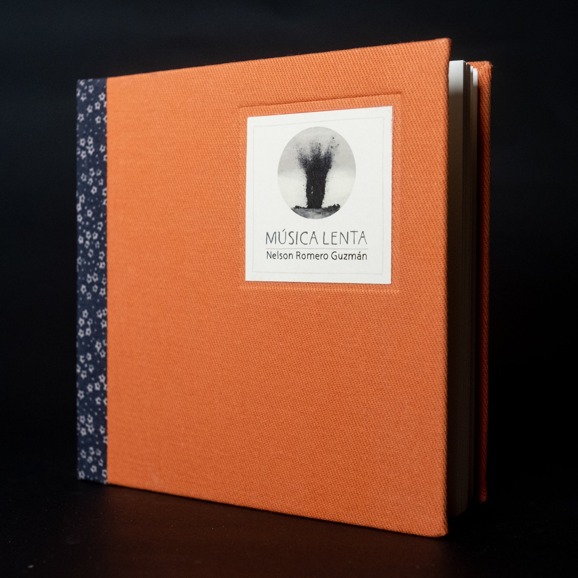 Música Lenta - Nelson Romero Guzmán - Imagen 2