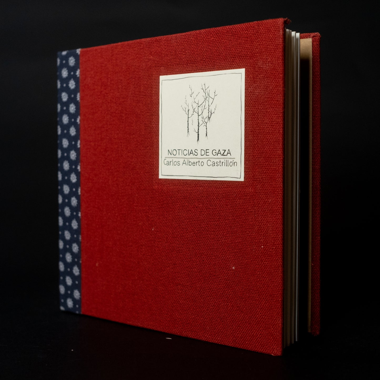 Noticias de Gaza - Carlos Alberto Castrillón - Imagen 1