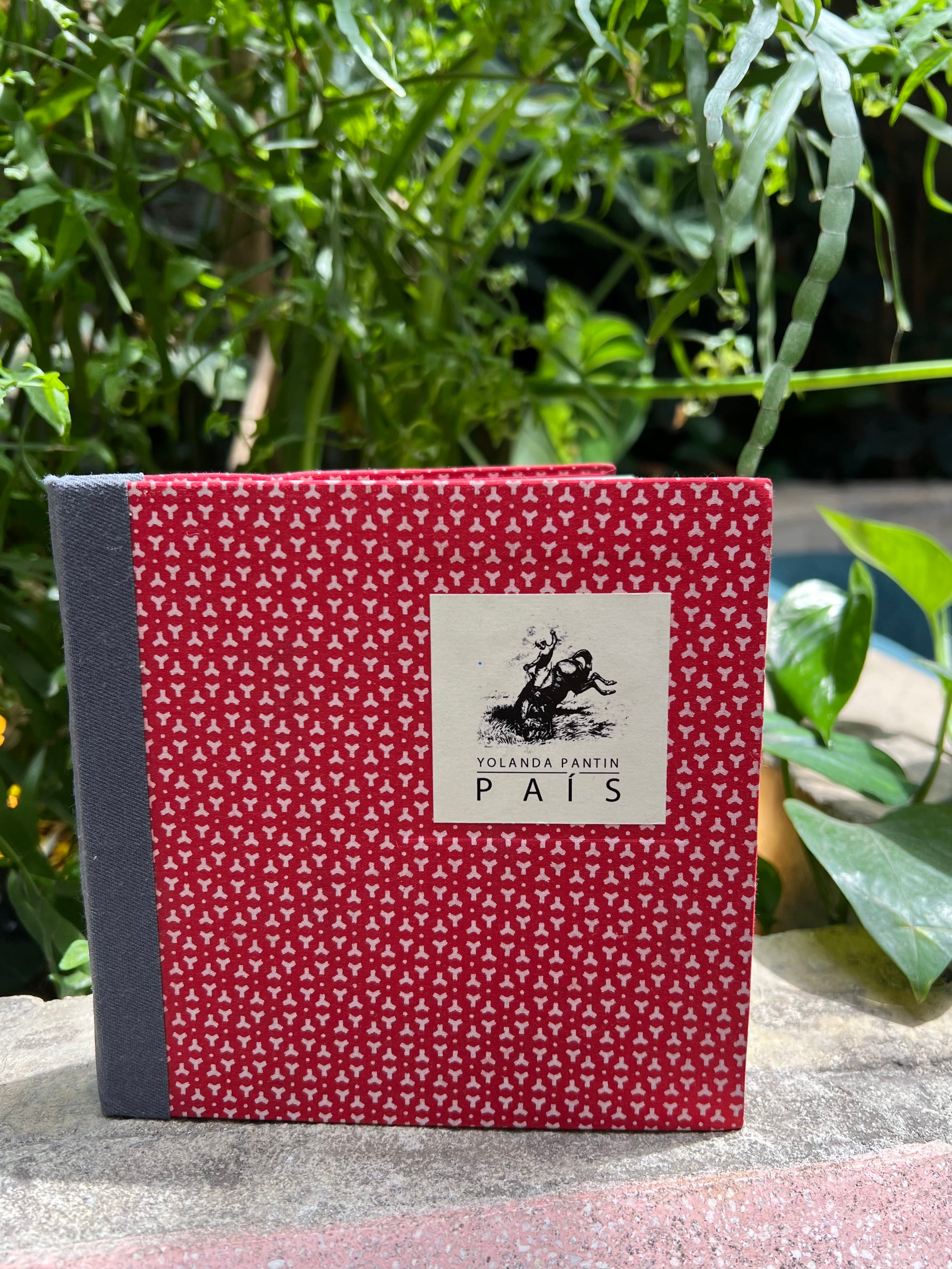 PAÍS - Yolanda Pantin - Imagen 2