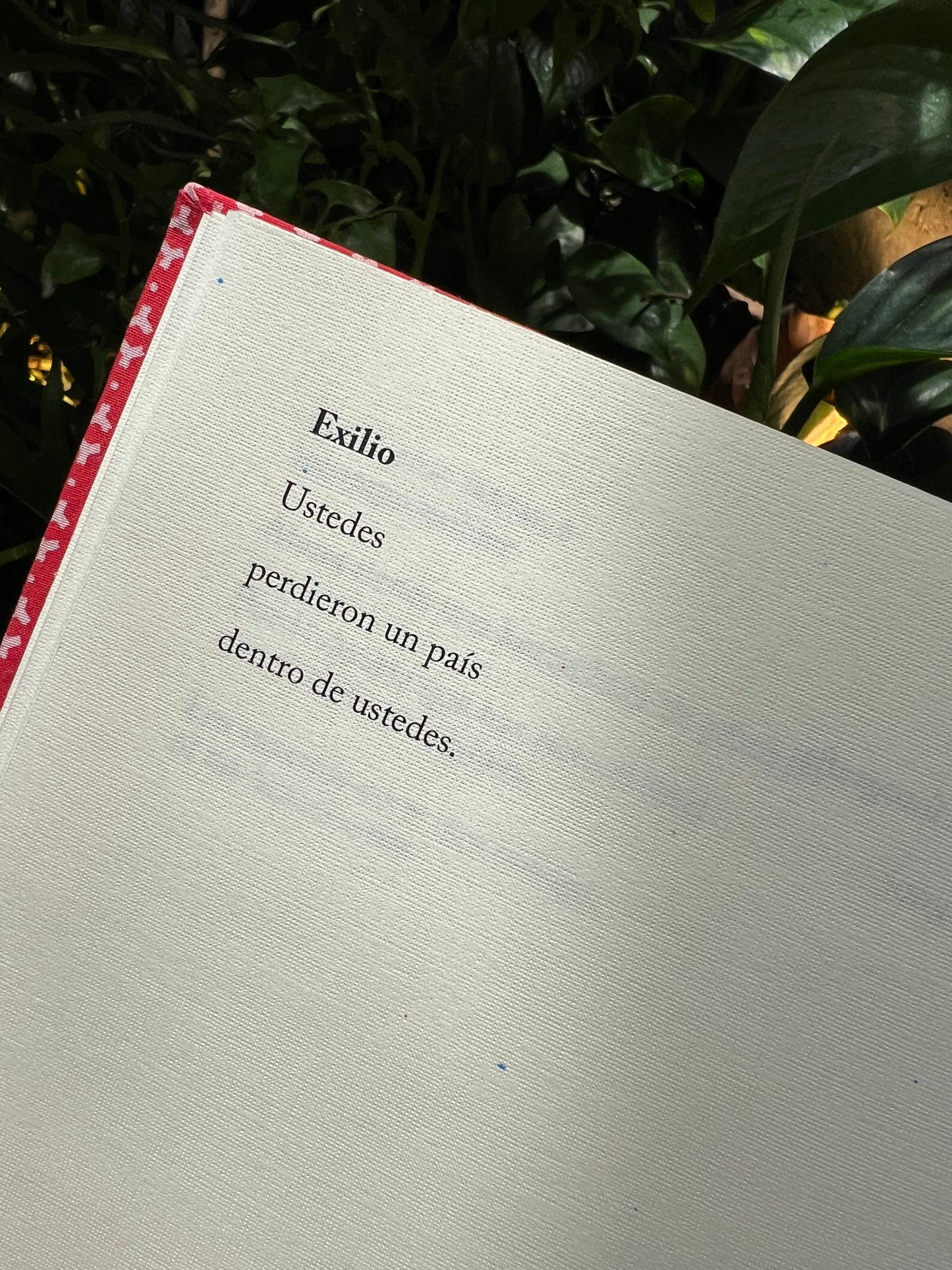 PAÍS - Yolanda Pantin - Imagen 3