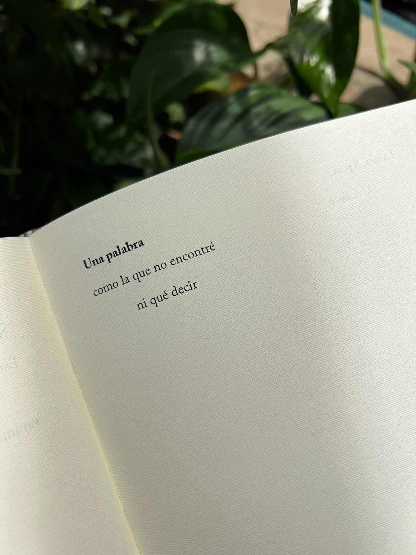 PAÍS - Yolanda Pantin - Imagen 4