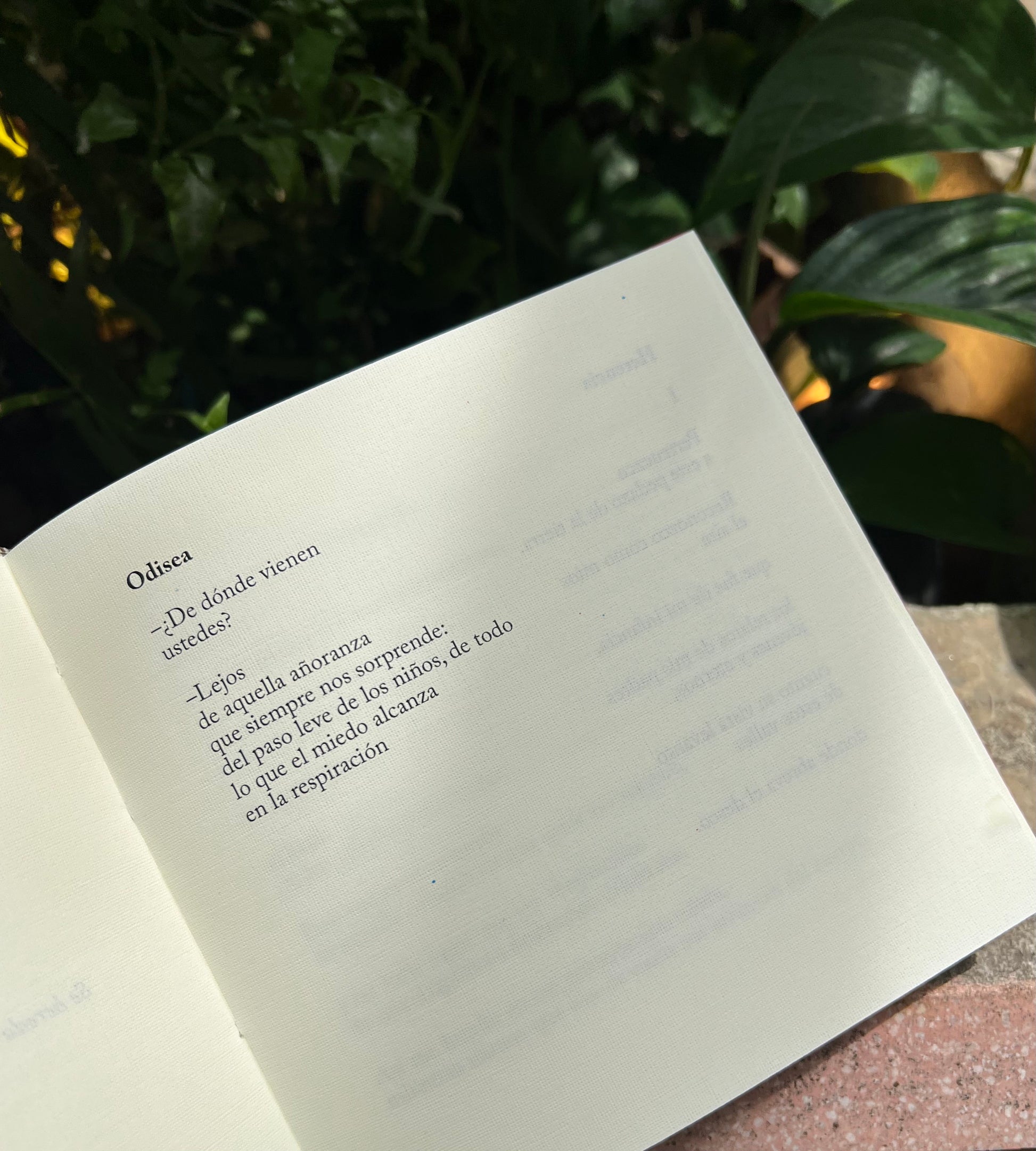 PAÍS - Yolanda Pantin - Imagen 5