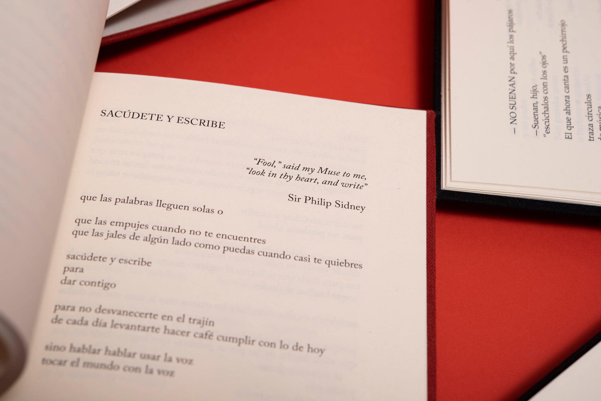 Palabras piel - María Gómez Lara - Imagen 15