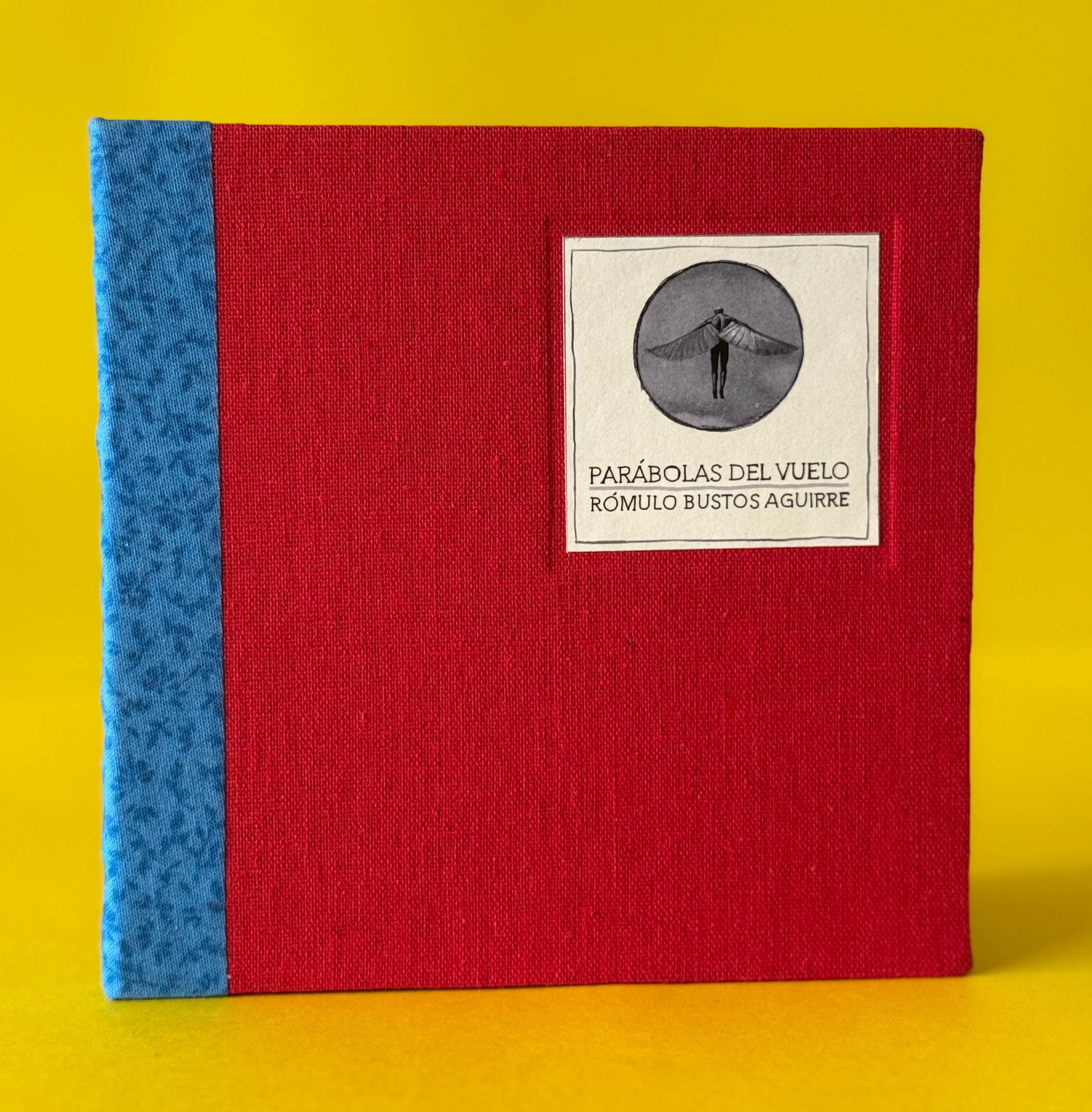 Parábolas del vuelo - Rómulo Bustos - Imagen 1