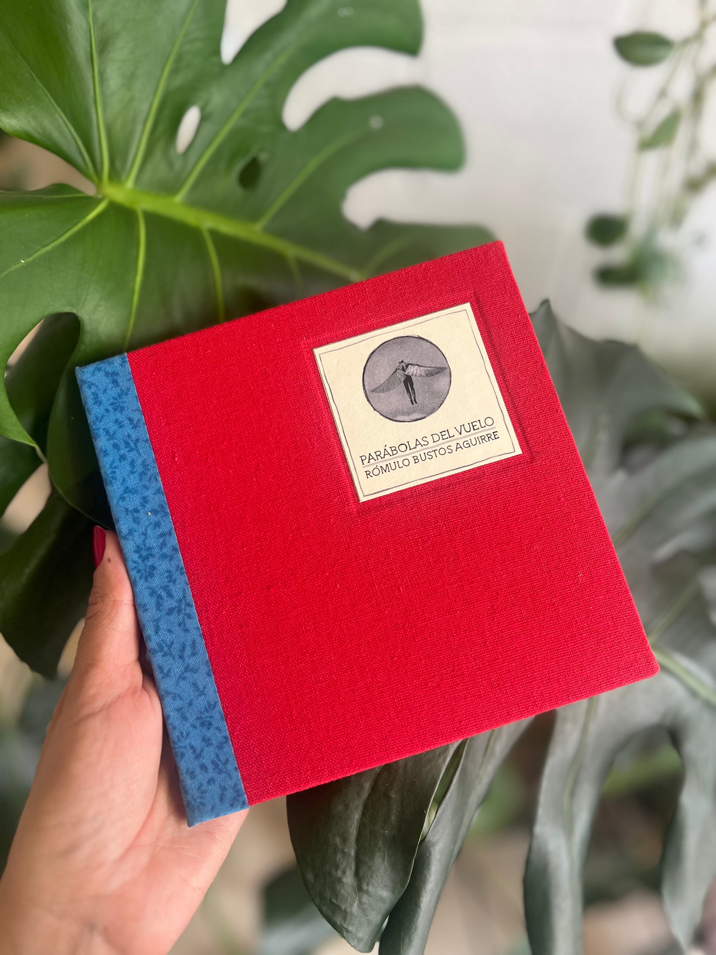 Parábolas del vuelo - Rómulo Bustos - Imagen 3