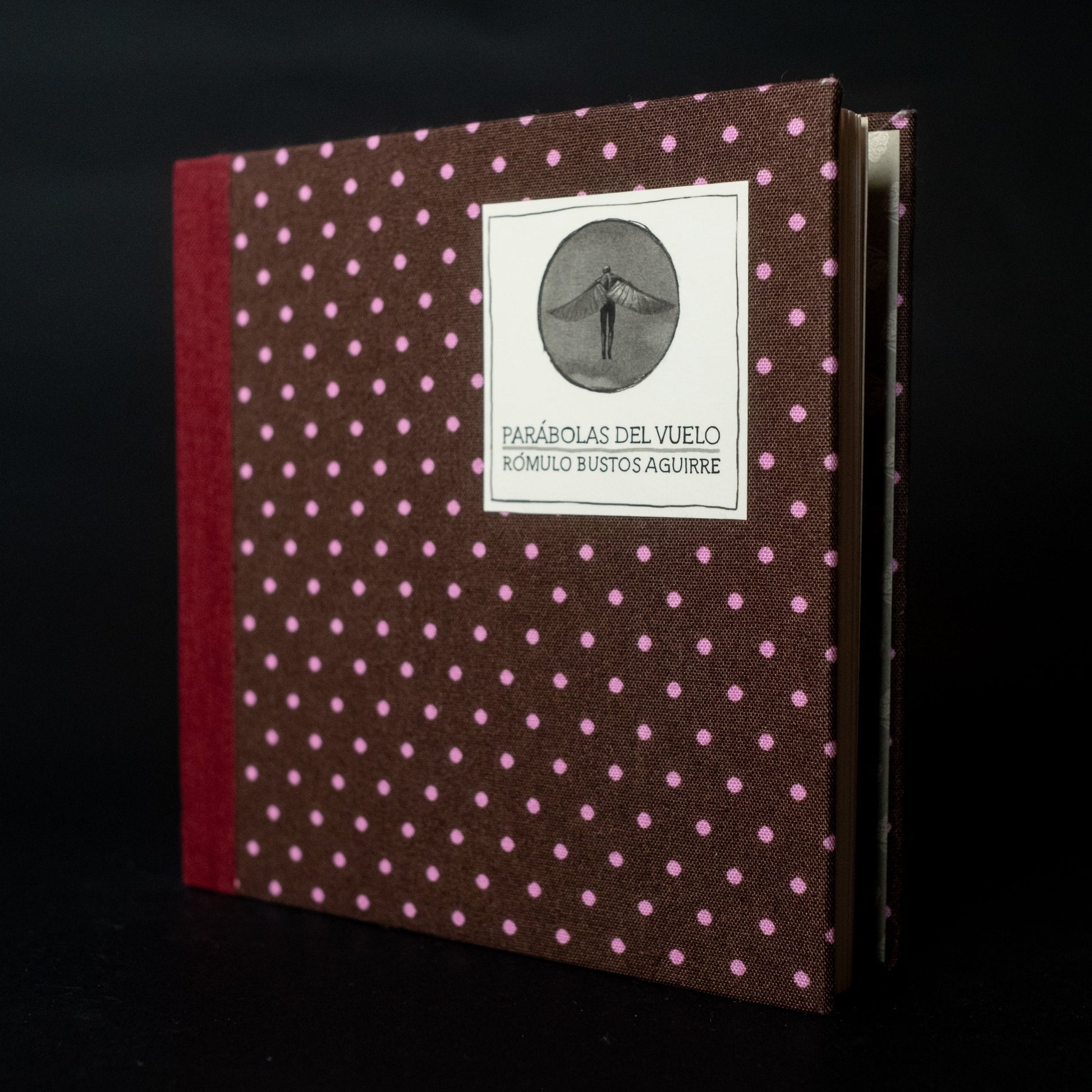 Parábolas del vuelo - Rómulo Bustos - Imagen 4