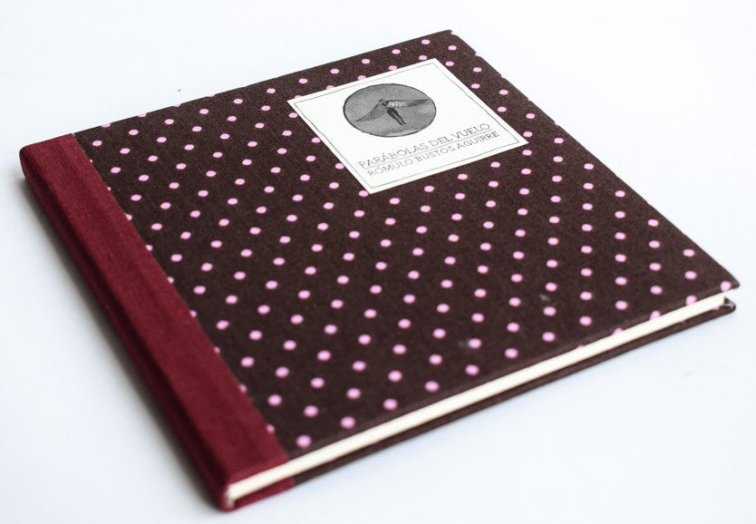 Parábolas del vuelo - Rómulo Bustos - Imagen 5