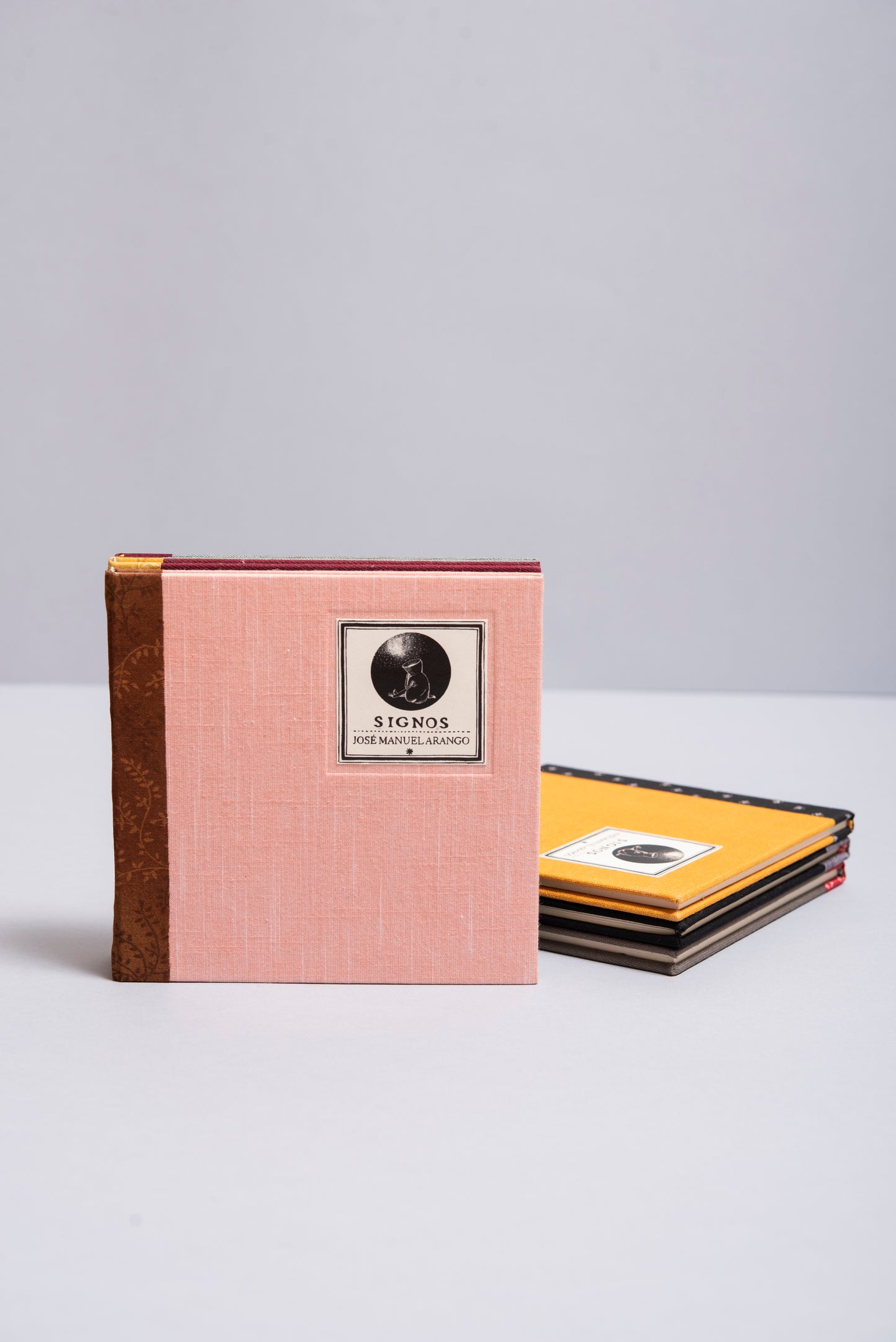 Signos - José Manuel Arango - Imagen 4
