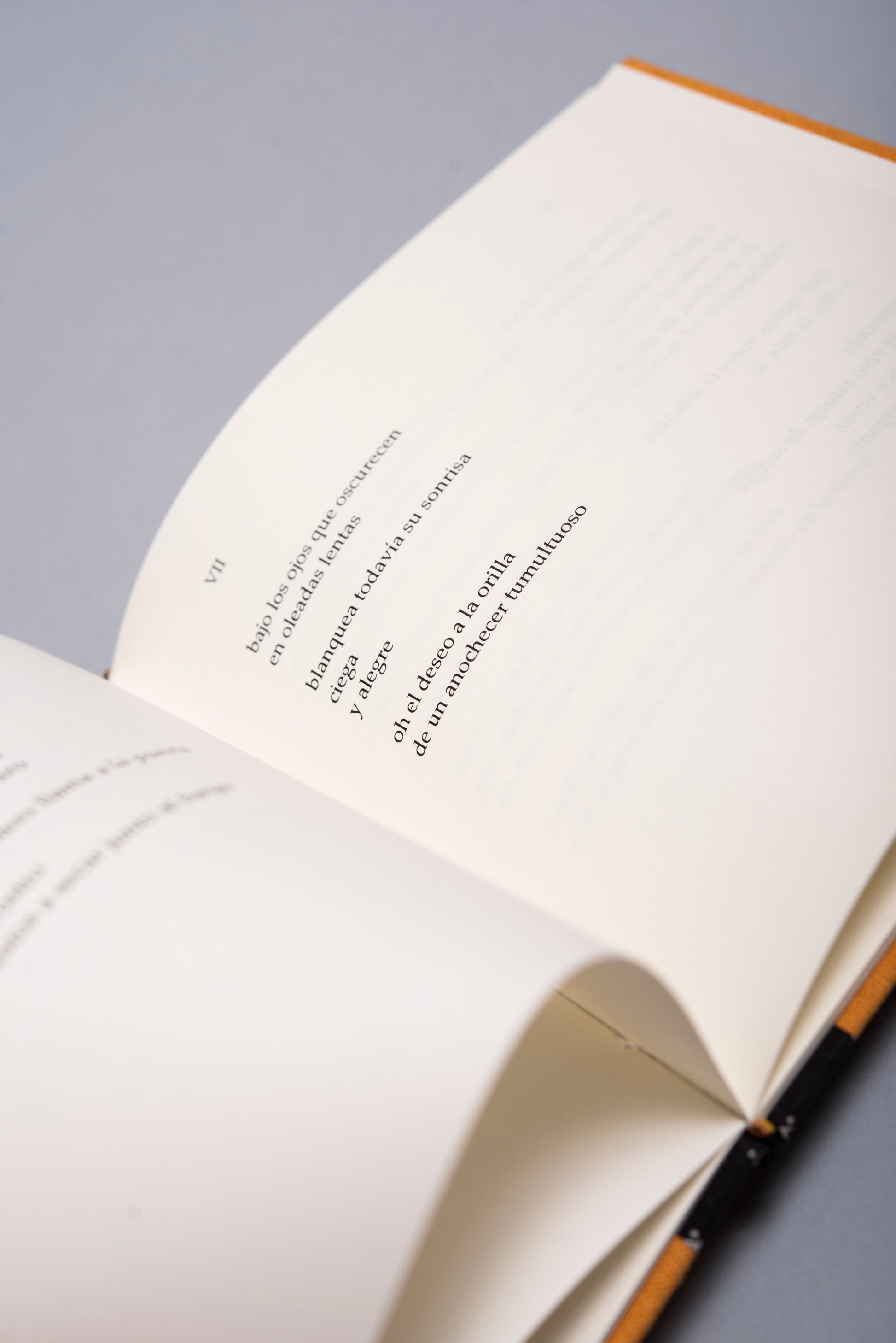 Signos - José Manuel Arango - Imagen 5