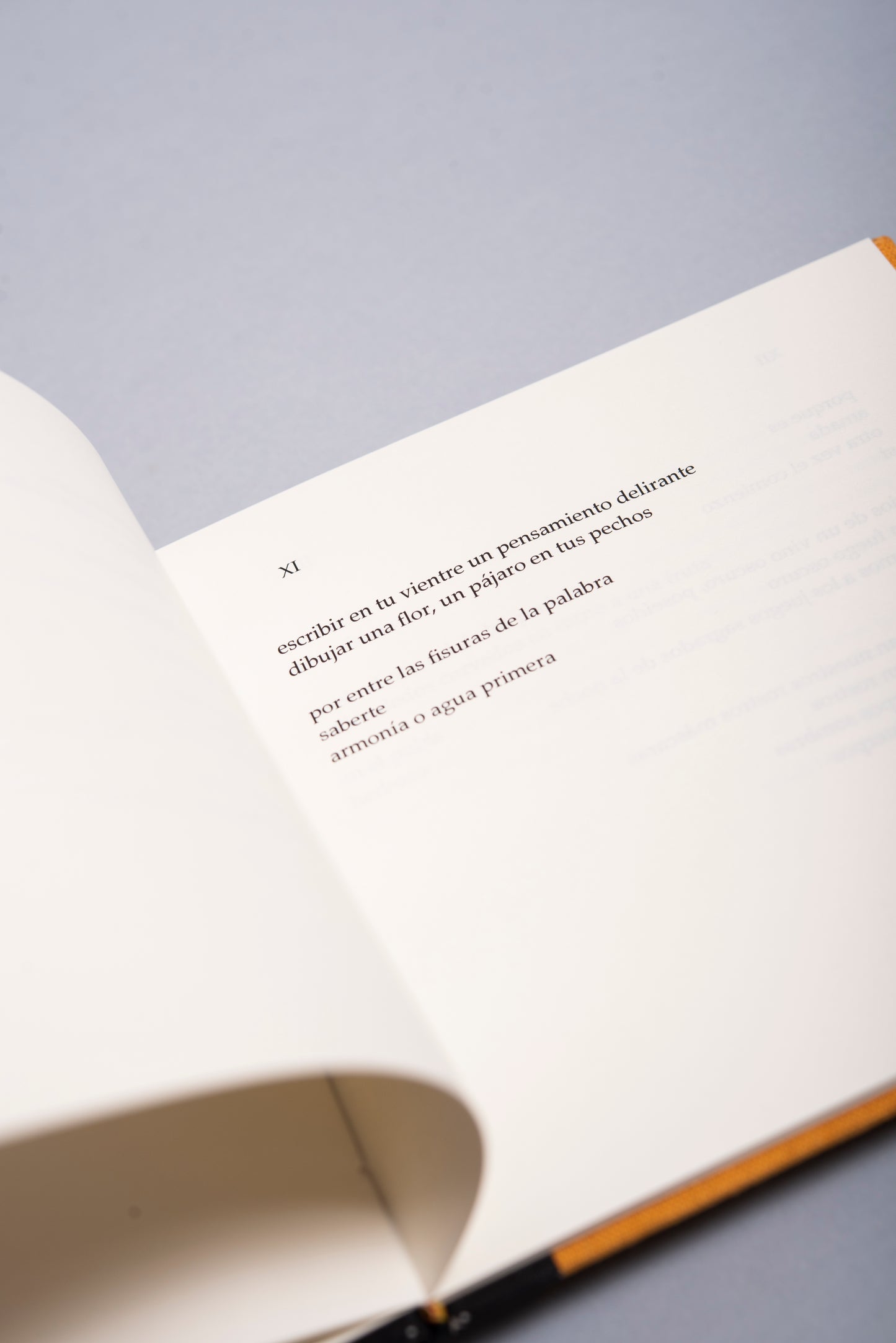 Signos - José Manuel Arango - Imagen 6