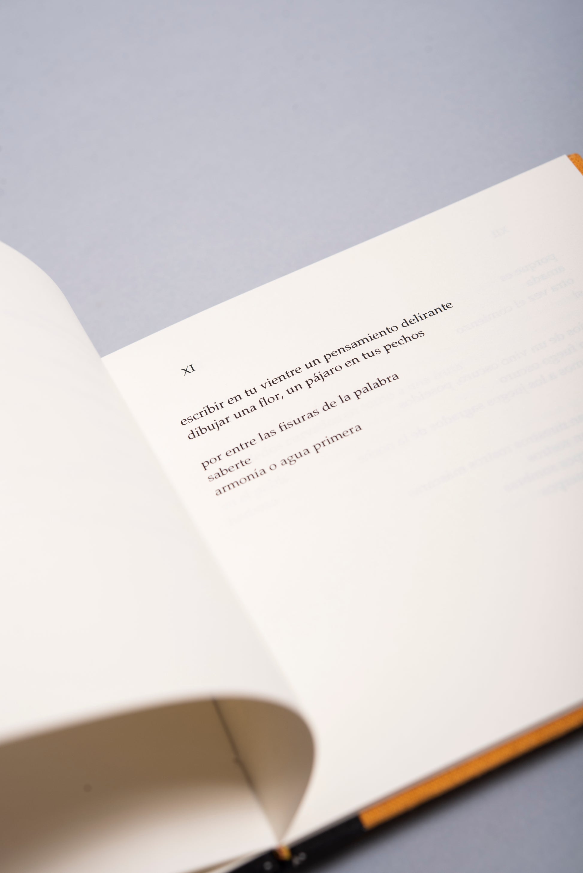 Signos - José Manuel Arango - Imagen 6