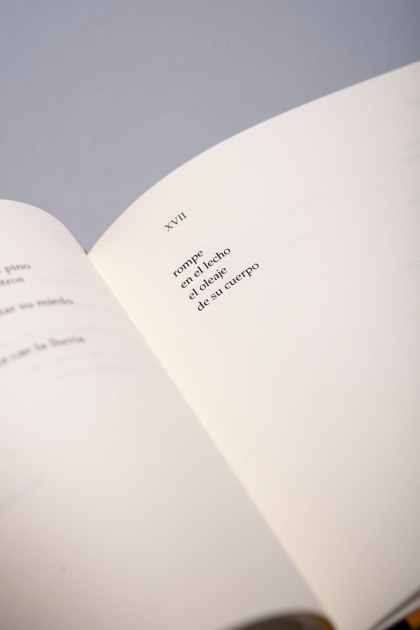 Signos - José Manuel Arango - Imagen 7