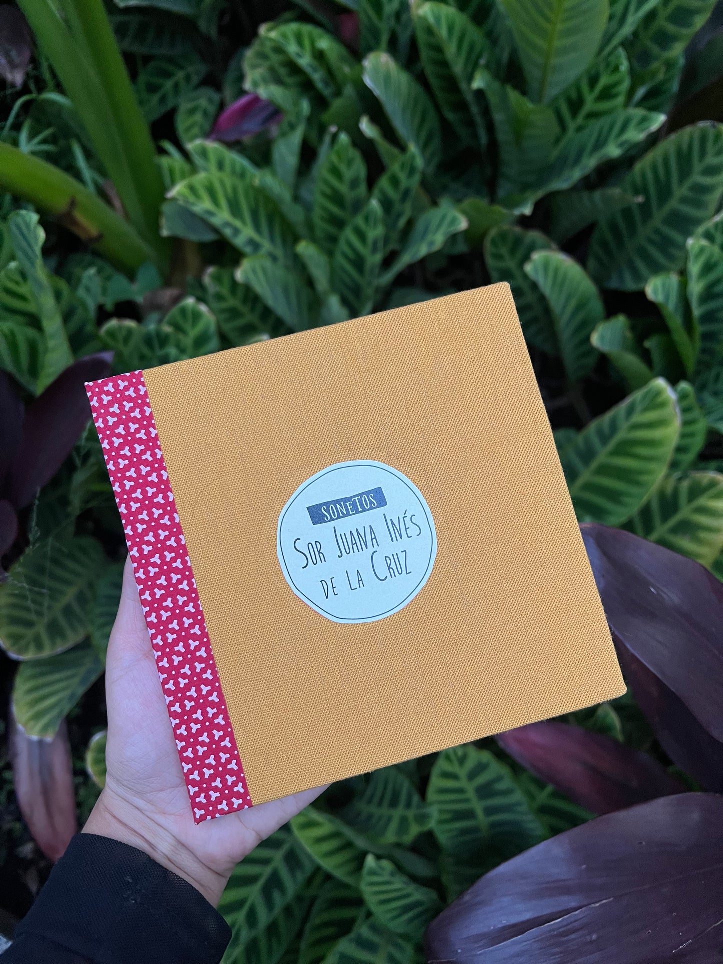 Sonetos - Sor Juana Inés de La Cruz - Imagen 2