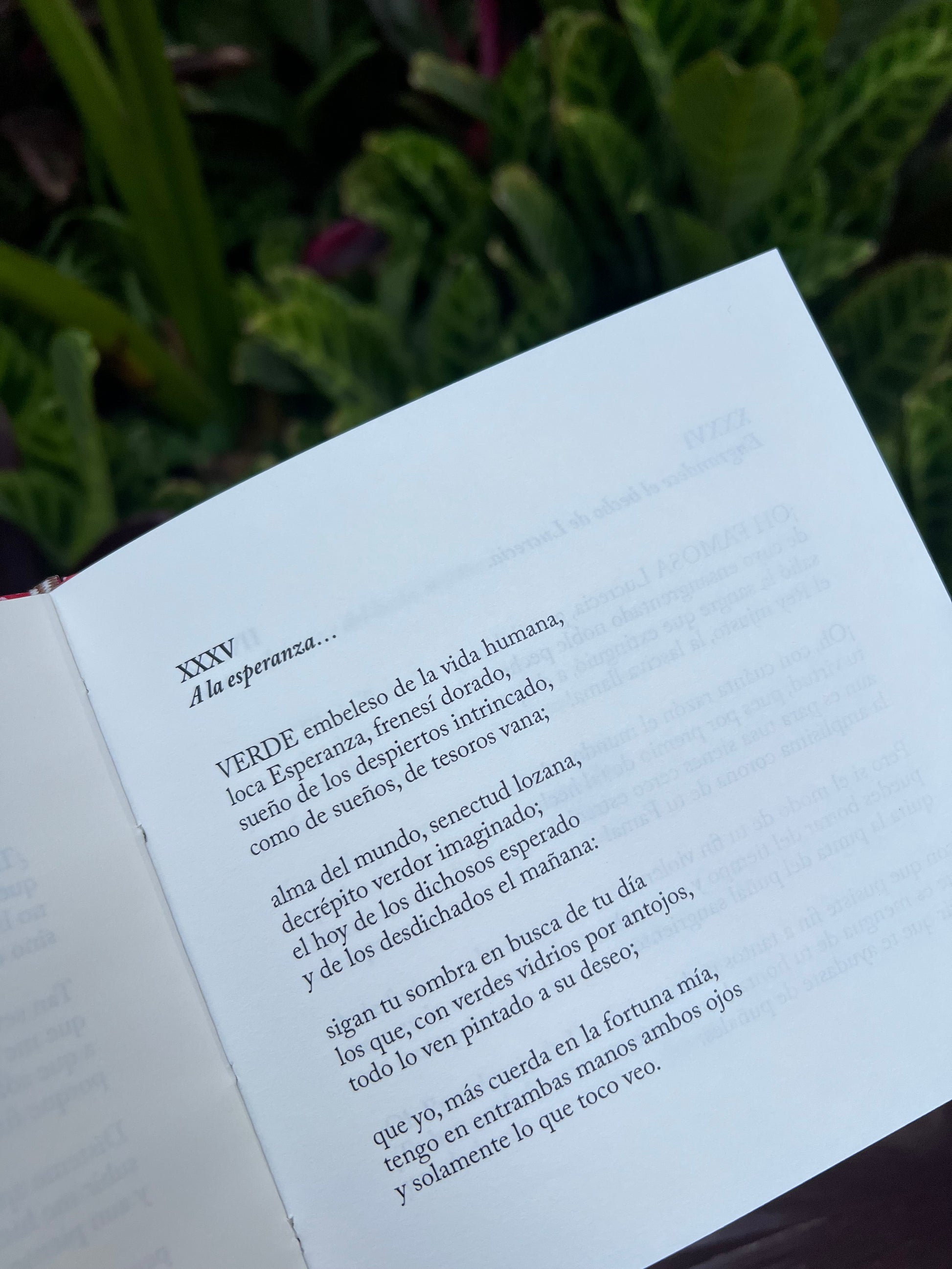 Sonetos - Sor Juana Inés de La Cruz - Imagen 3